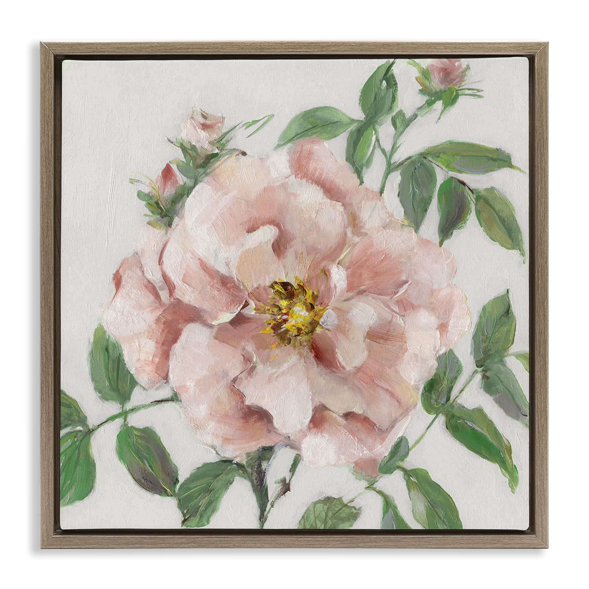 Stupell Industries BS-262-FFE-17X17 Traditional Single Pink Blossom Floating Frame design by Sally Swatland
