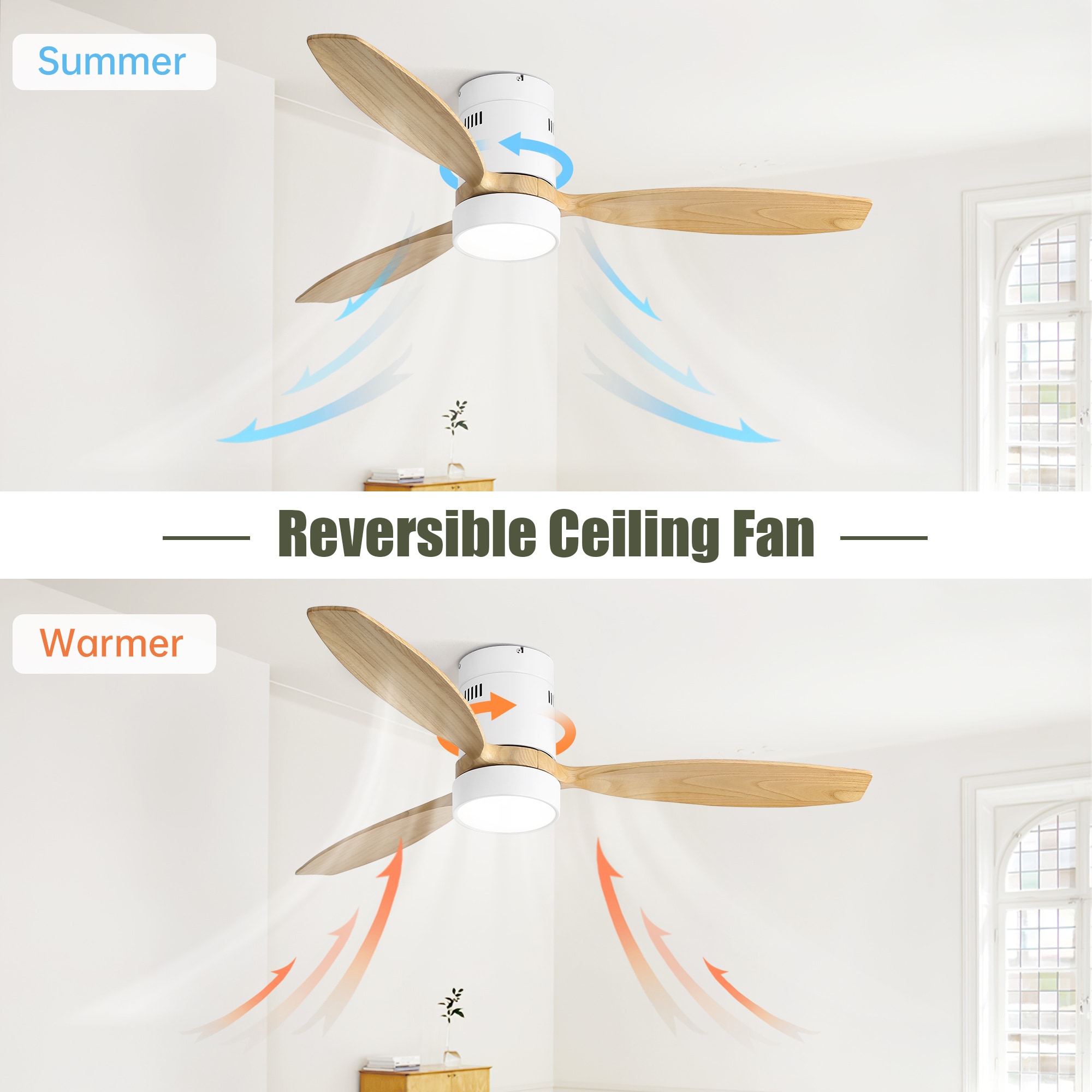 BABOOM BOM-P146081-OR Ceiling-Fans - View #4