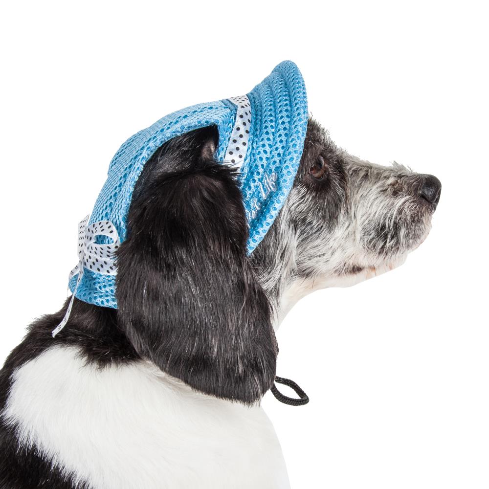 Buffalo Bills Dog Bandana / Buffalo Bills /dogcat Bandana / 