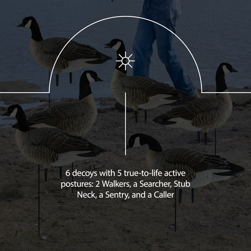  Avian X 408536 Hunting-Equipment - View #4