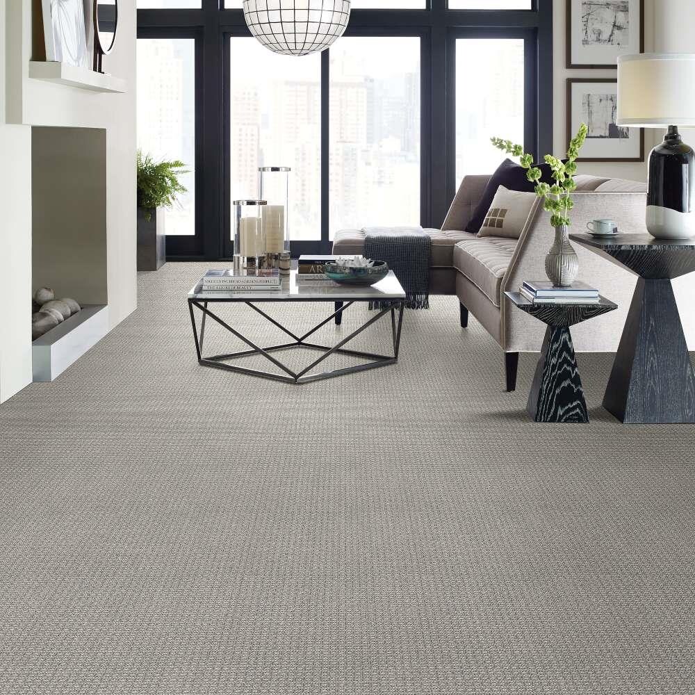 STAINMASTER 7L79900576 Carpet-Panel - View #2