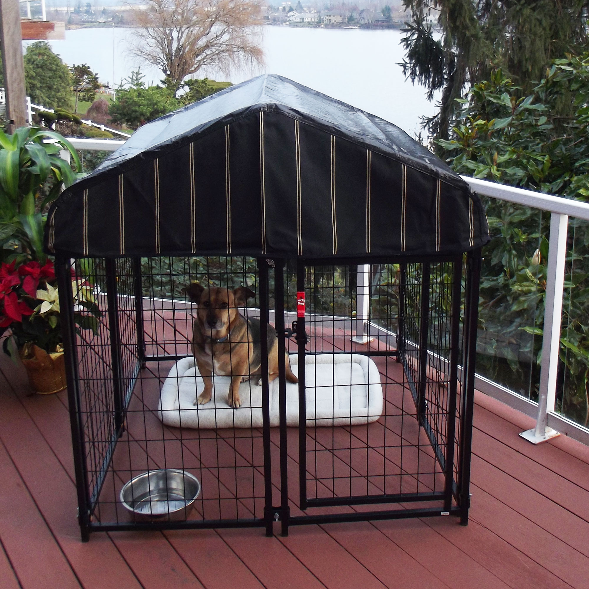 Lucky Dog 90332 Pet-Crates-Carriers - View #11