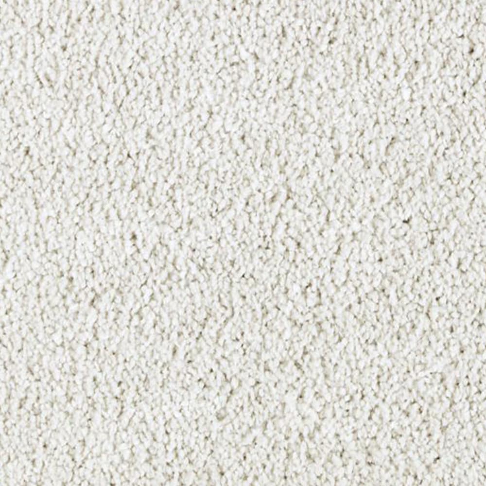 STAINMASTER PetProtect STP25-12-L002 Express Install Alluring splendor II Eternity Off-white 58-oz sq yard Triexta Textured Indoor Carpet