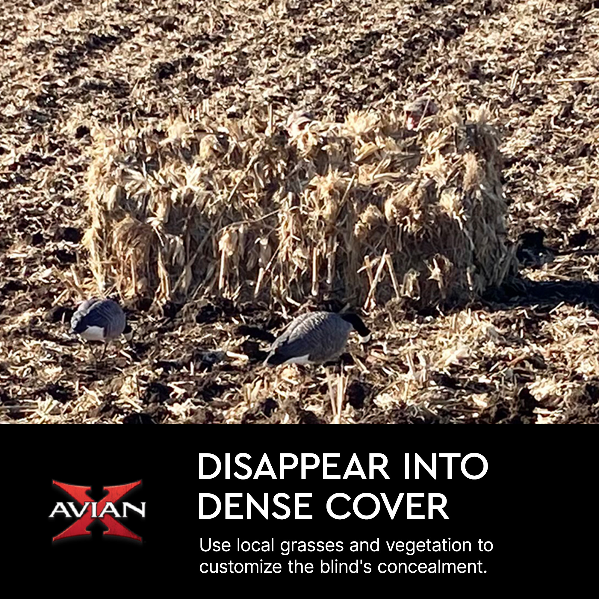 Avian X A-Frame Portable Field Hunting Blind Mossy Oak Shadow Grass ...