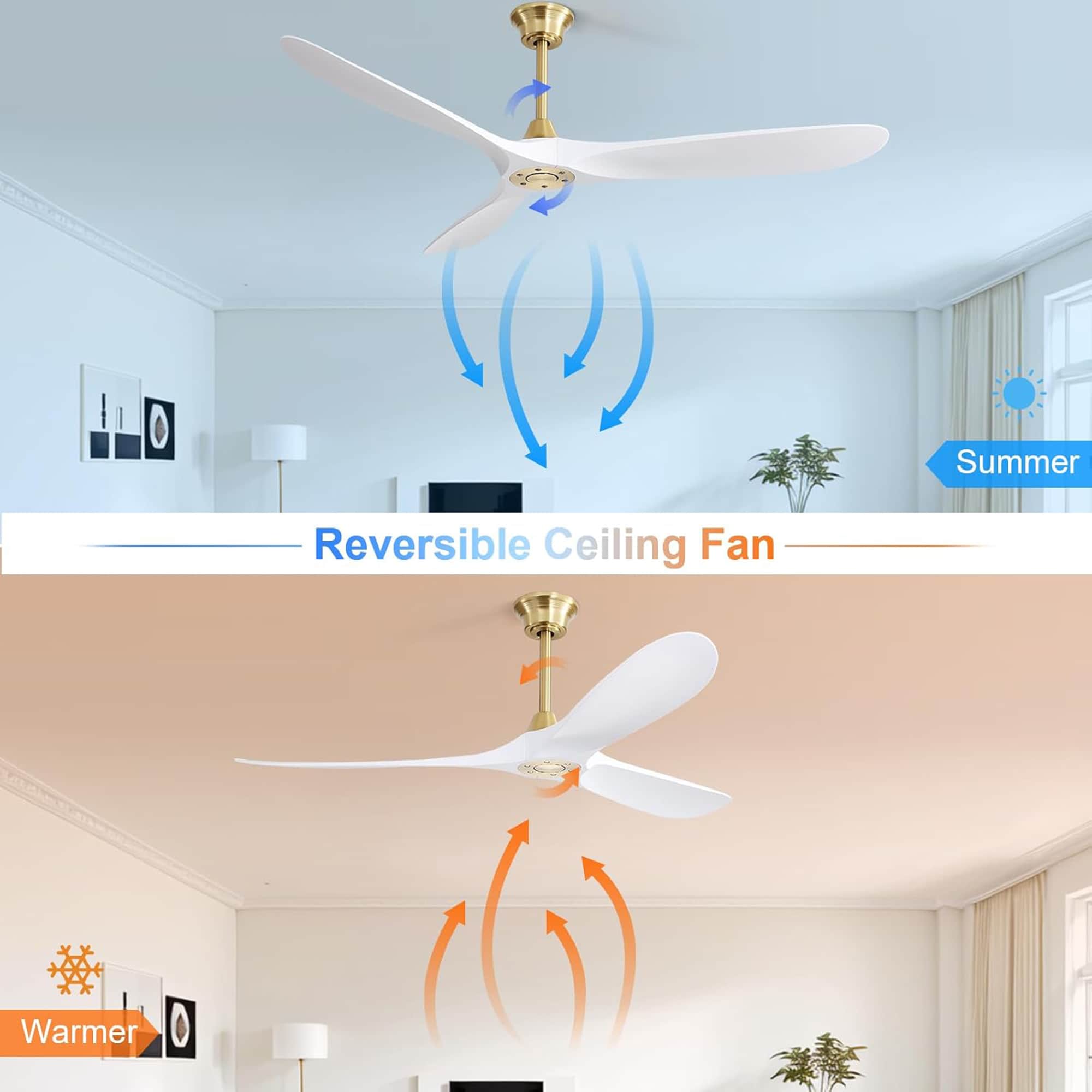 SINOFURN SYB570078SL Ceiling-Fans - View #6