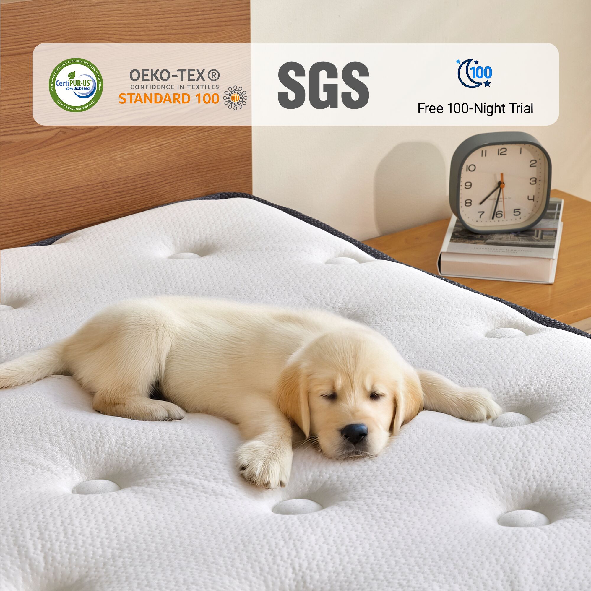 Ifluous LSMH30-10F Mattresses-Boxsprings - View #7