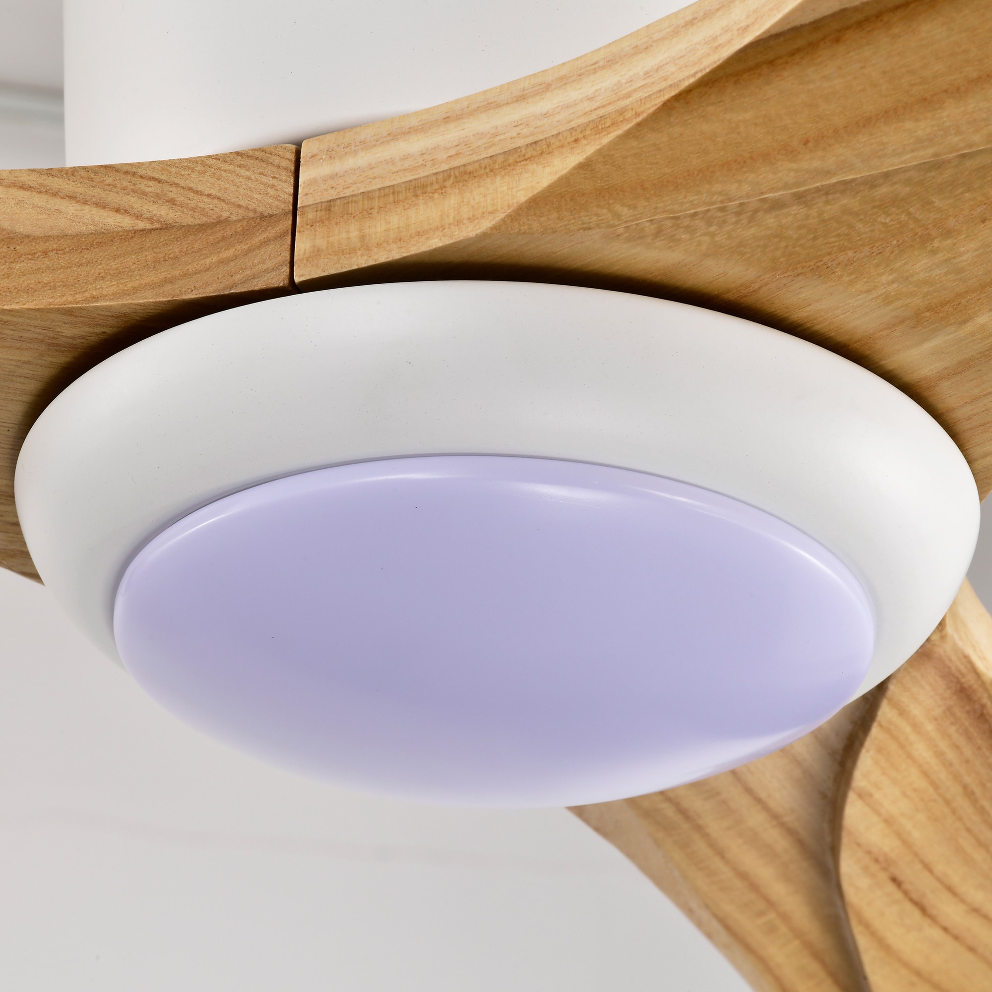 BABOOM BOM-187539-OR Ceiling-Fans - View #14