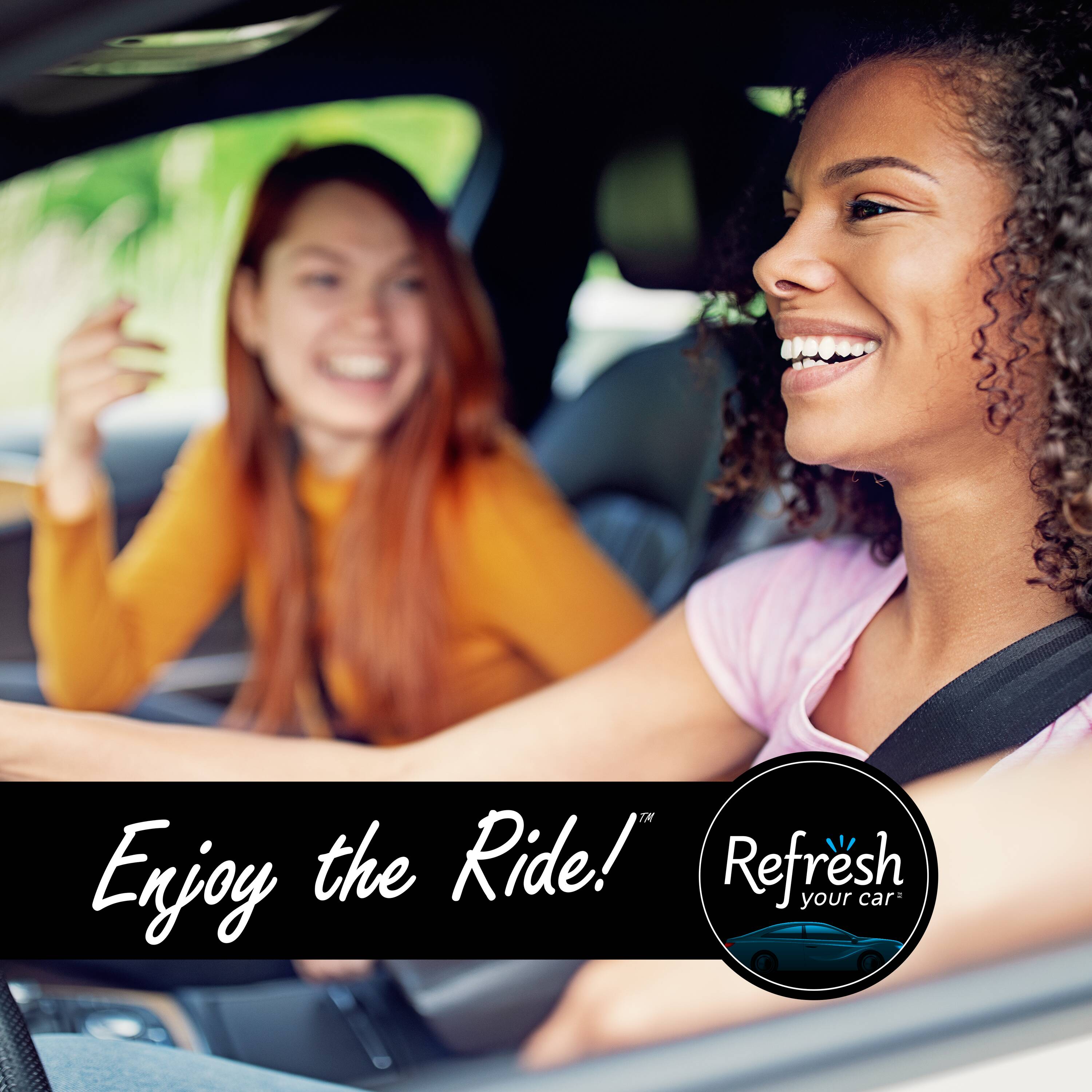 Refresh Your Car! 09432T Air-Fresheners - View #8