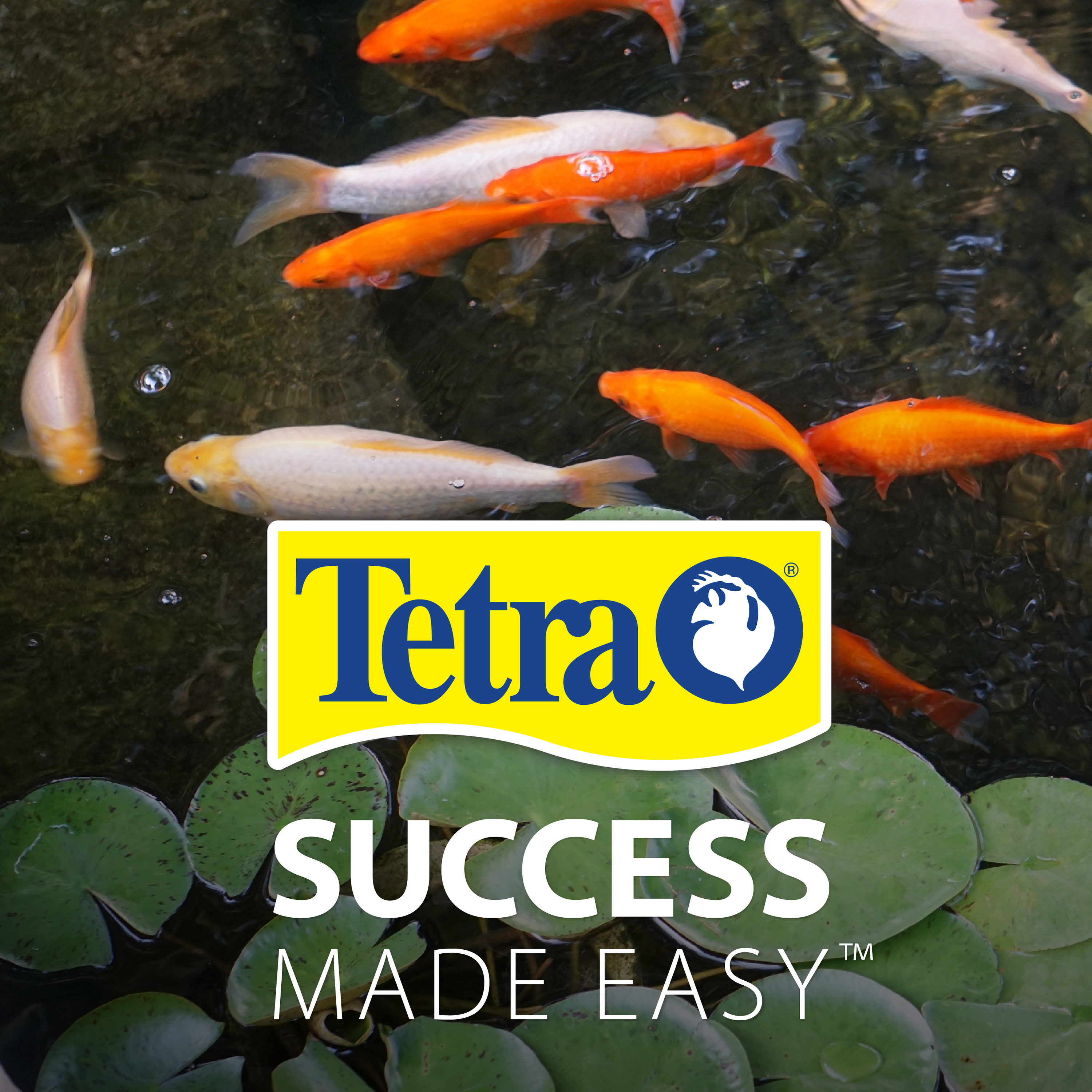 Tetra Biological Waterfall 1,000-Gallon Filter in the Pond Cleaners &  Filters department at