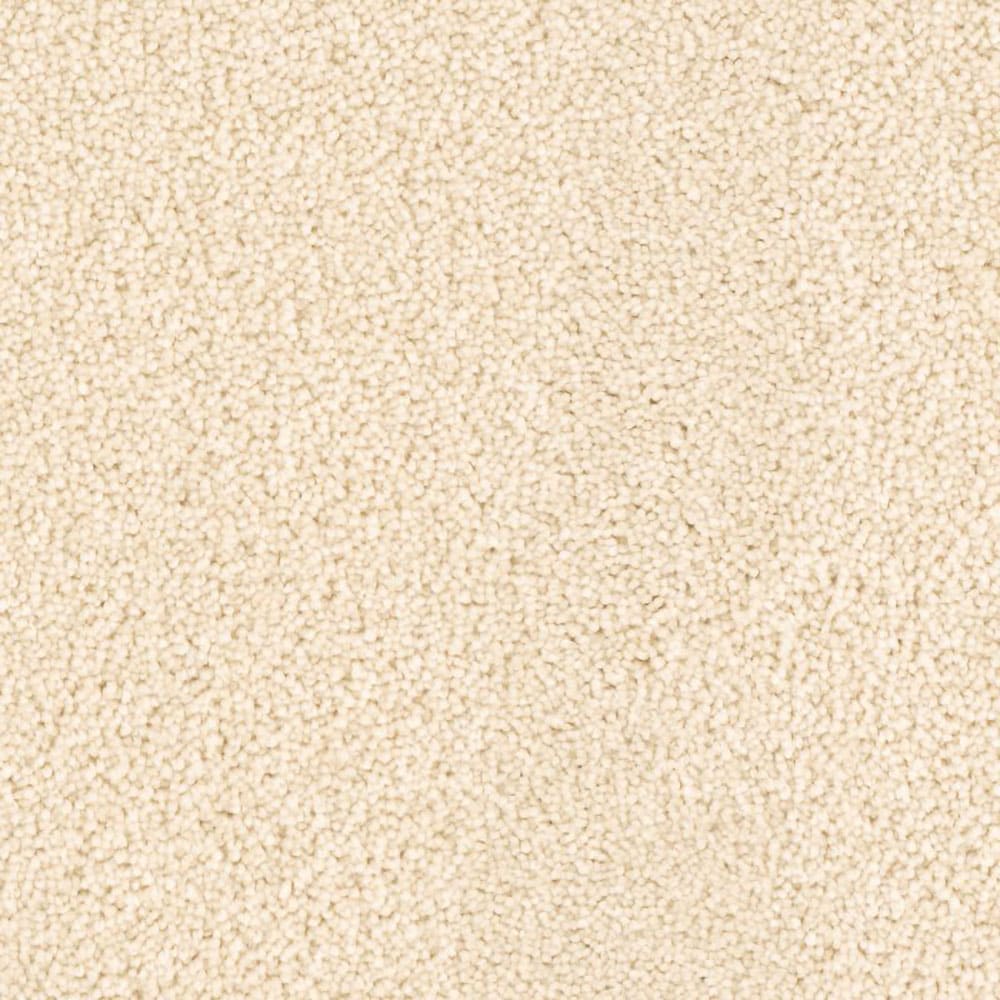STAINMASTER S9150-112-S (Sample) Fuse Create Brown 50-oz sq yard Polyester Textured Indoor Carpet