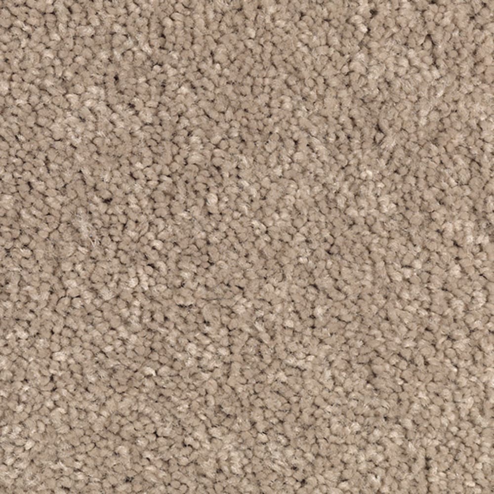 STAINMASTER Bold Selection II Avalon Beige Tan 65-oz sq yard Polyester ...