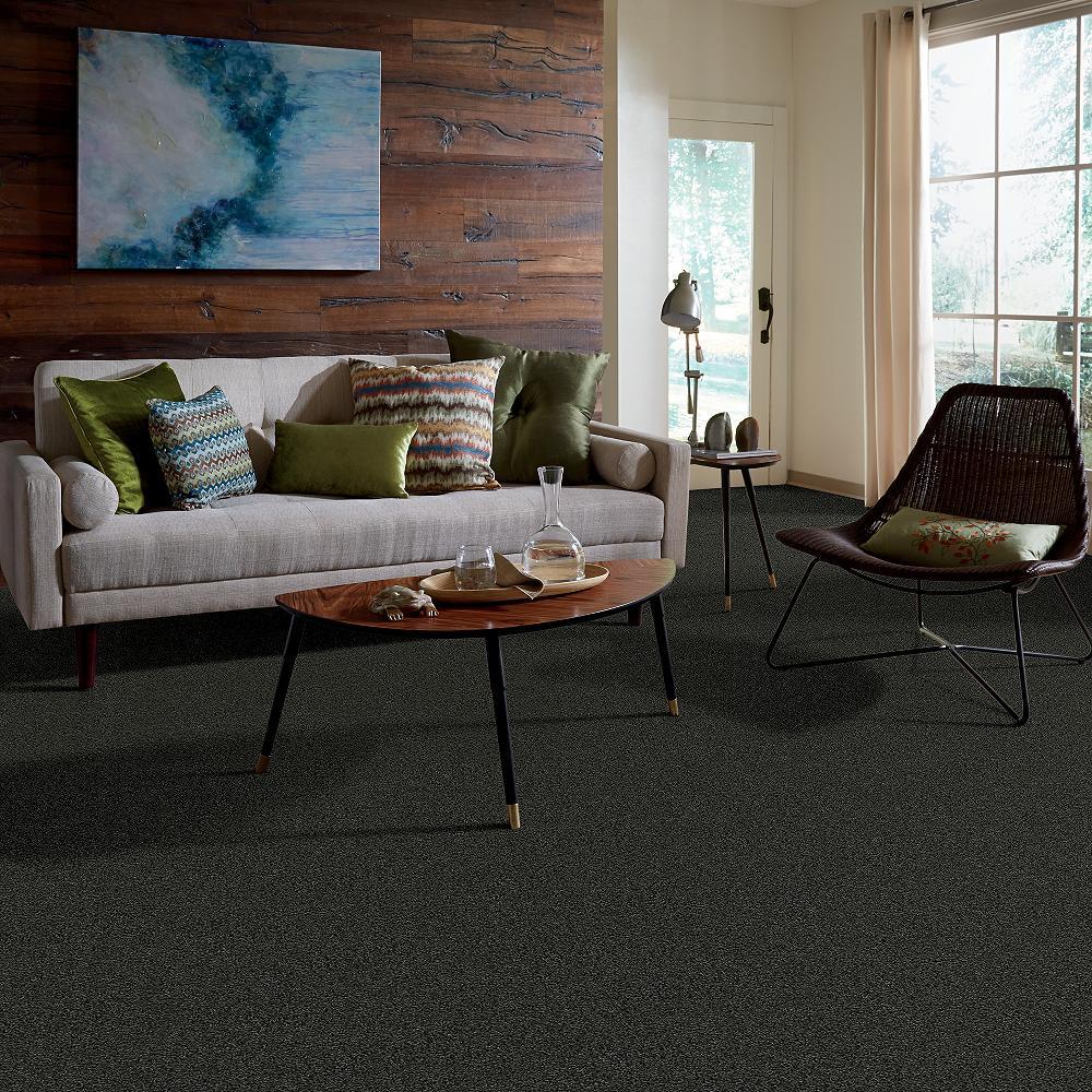 STAINMASTER 7L71700319 Carpet-Panel - View #5