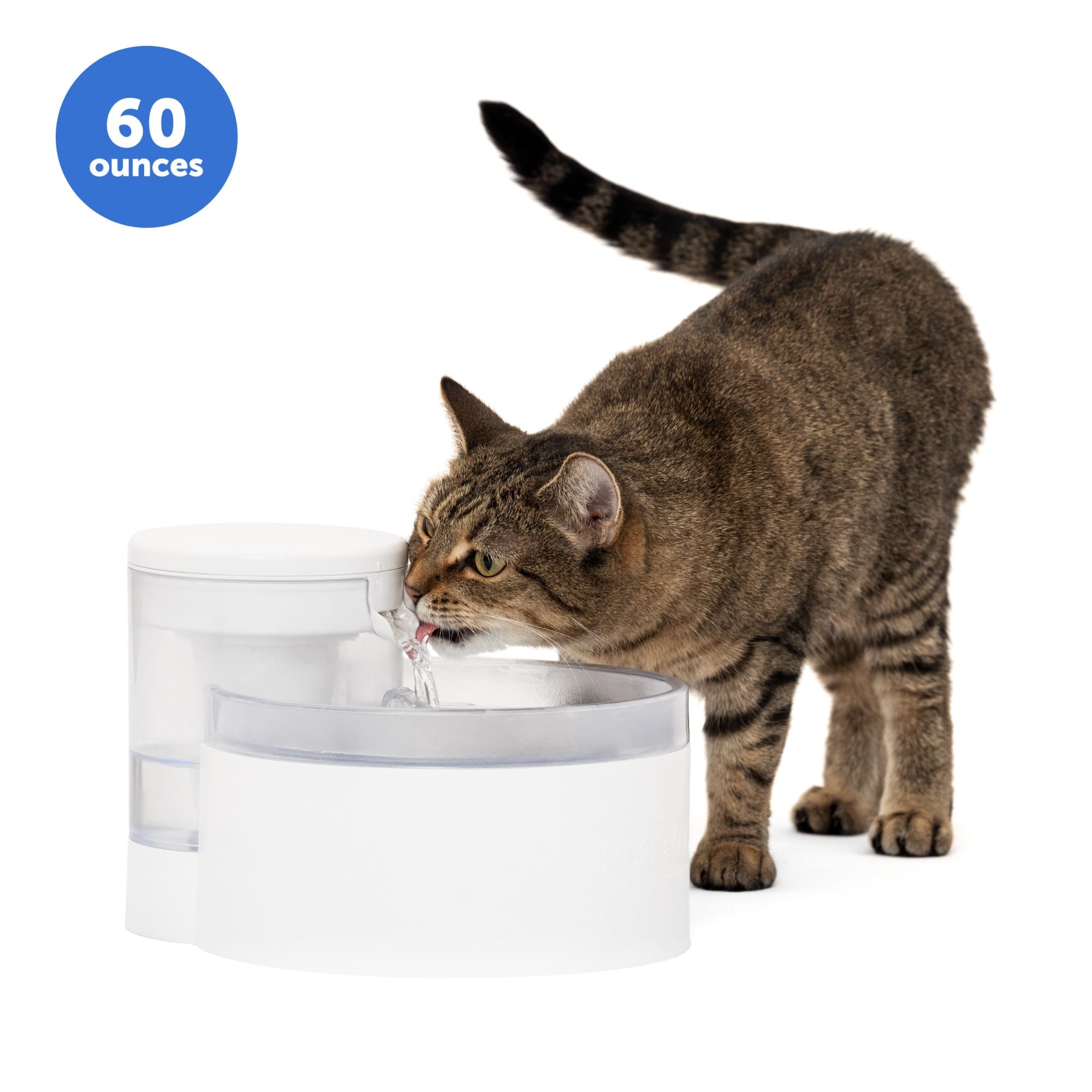 PetSafe -  Outlast Pumpless Pet Fountain for Cat Bowl 60 fl. oz. 7.5 cups