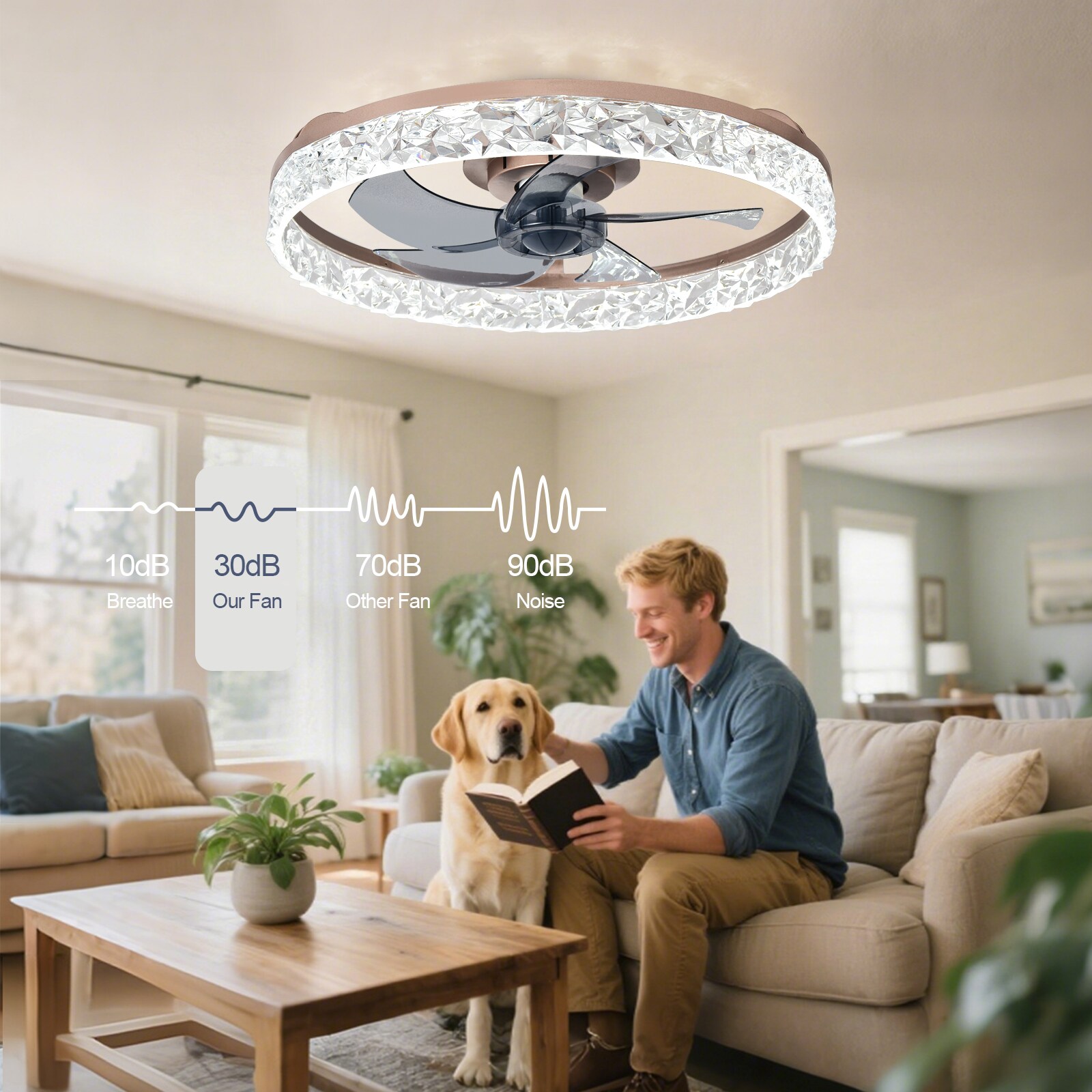Depuley WS-FPZ196-20C-BR-LW Ceiling-Fans - View #7