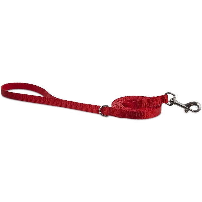 Youly Red Polyester/Nylon Dog Leash - YULY-3/8-ftX6-ft Lead RD -  Comfortable Grip - Suitable for Any Size Dog - Easily Clips to Collars or  Harnesses in the Pet Leashes department at