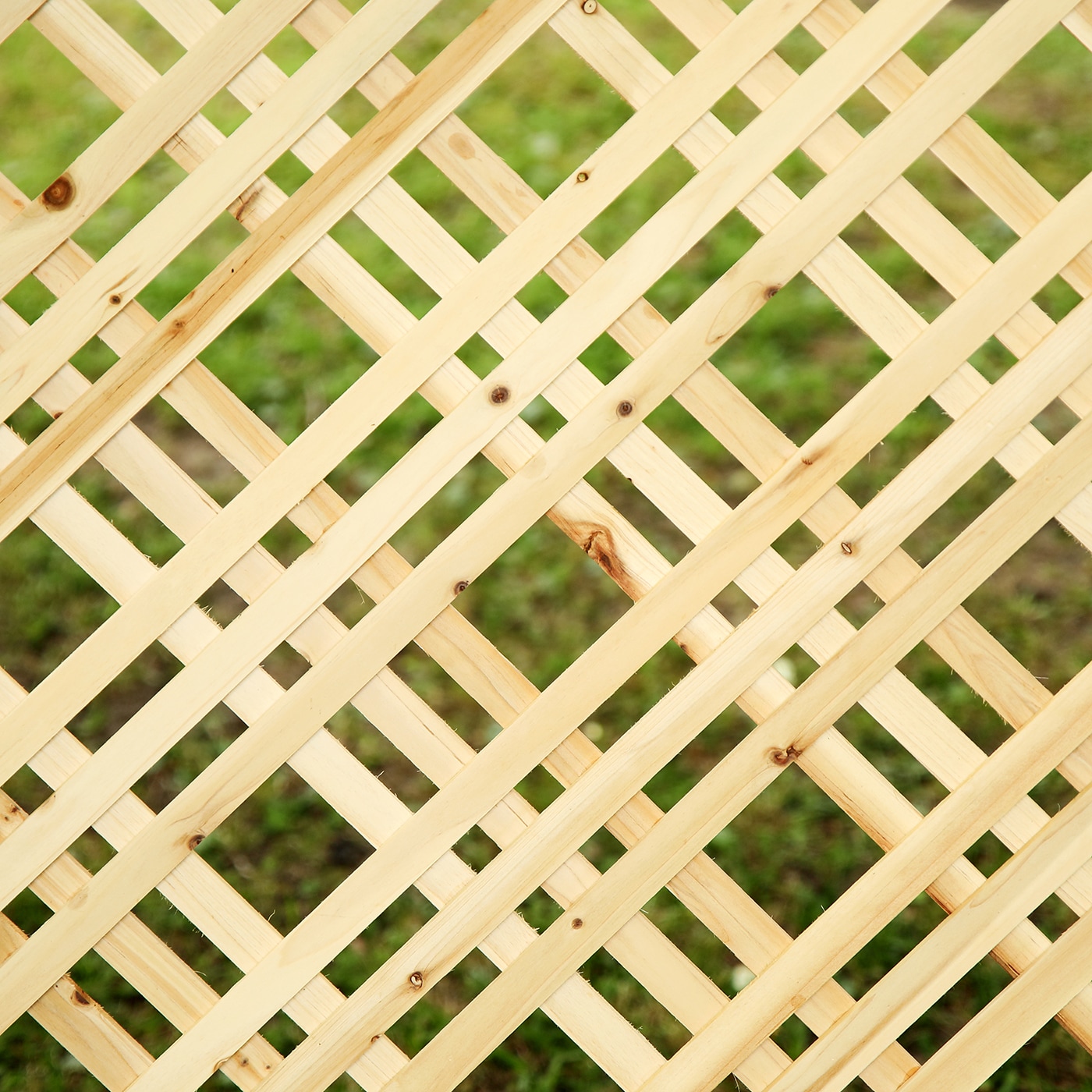 Origin 21 838724 lattice - View #10