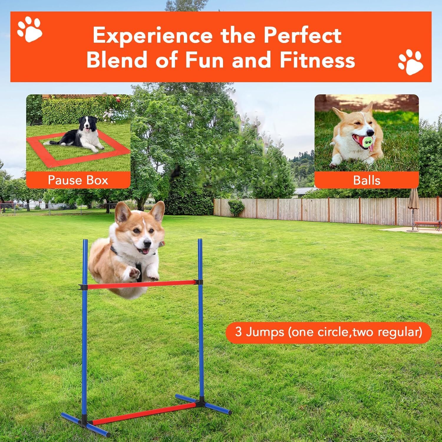 Qeetex GGL-PHO-34XS5NEQ Dog-Pens - View #4