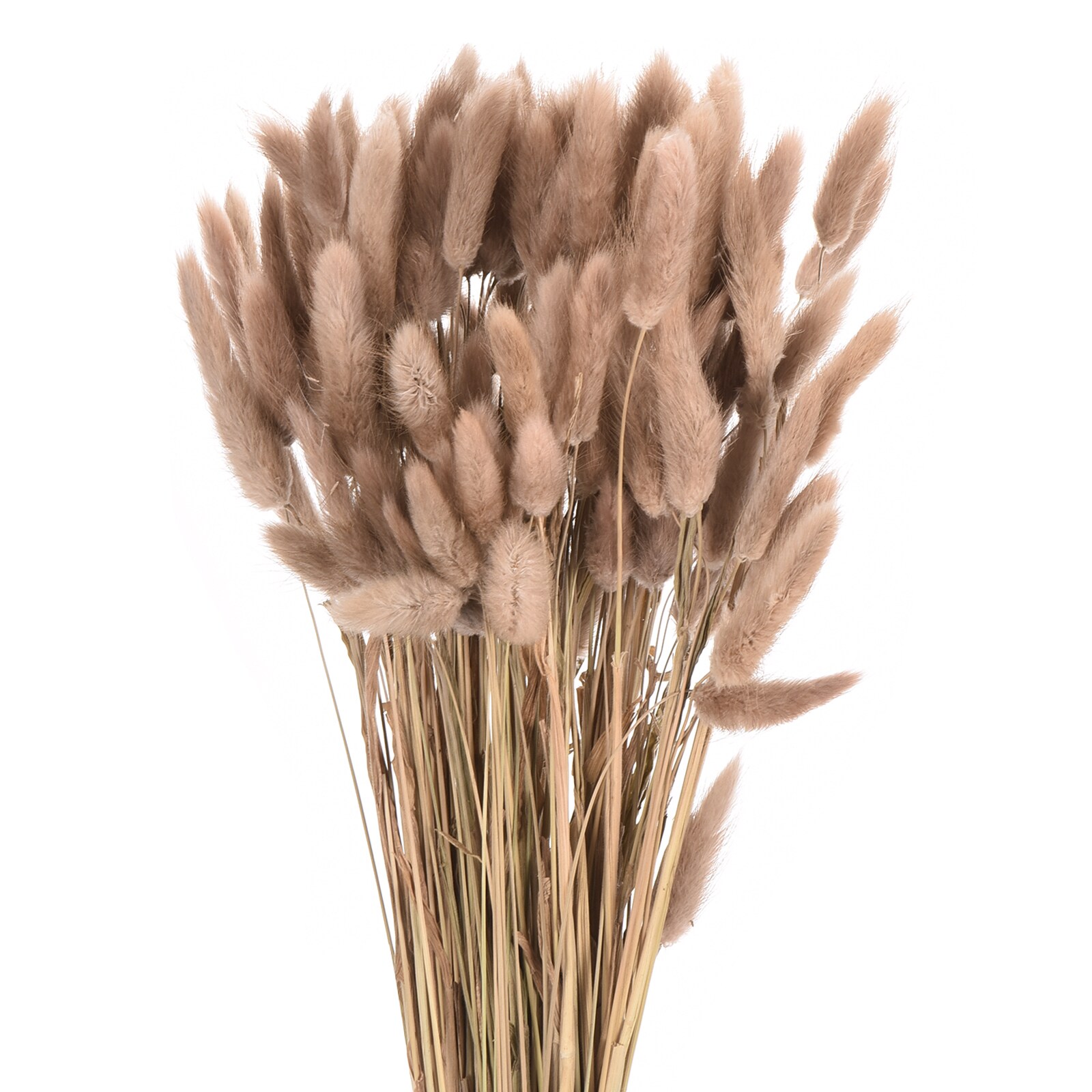 Unique Bargains 120pcs Natural Rabbit Bunny Tails Dried Flowers 17inch ...