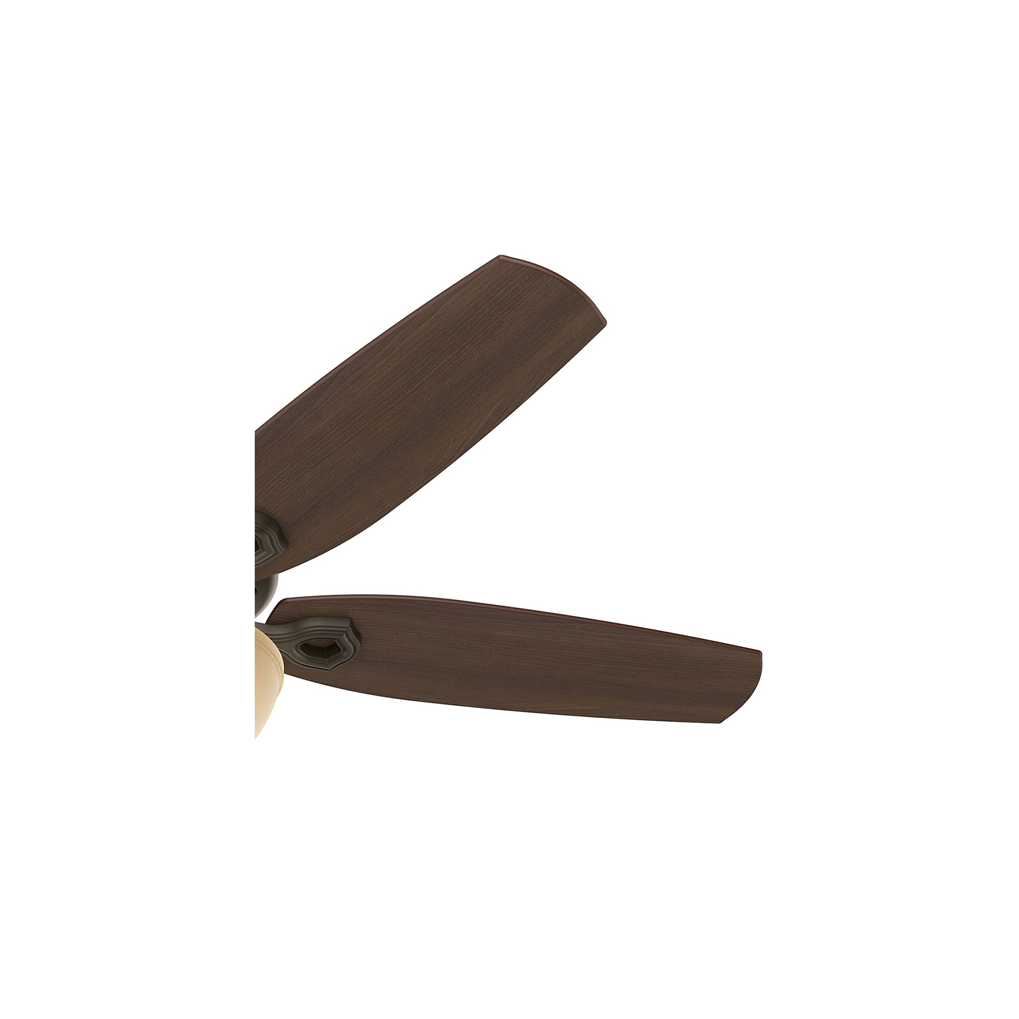 Hunter 53091 Ceiling-Fans - View #6