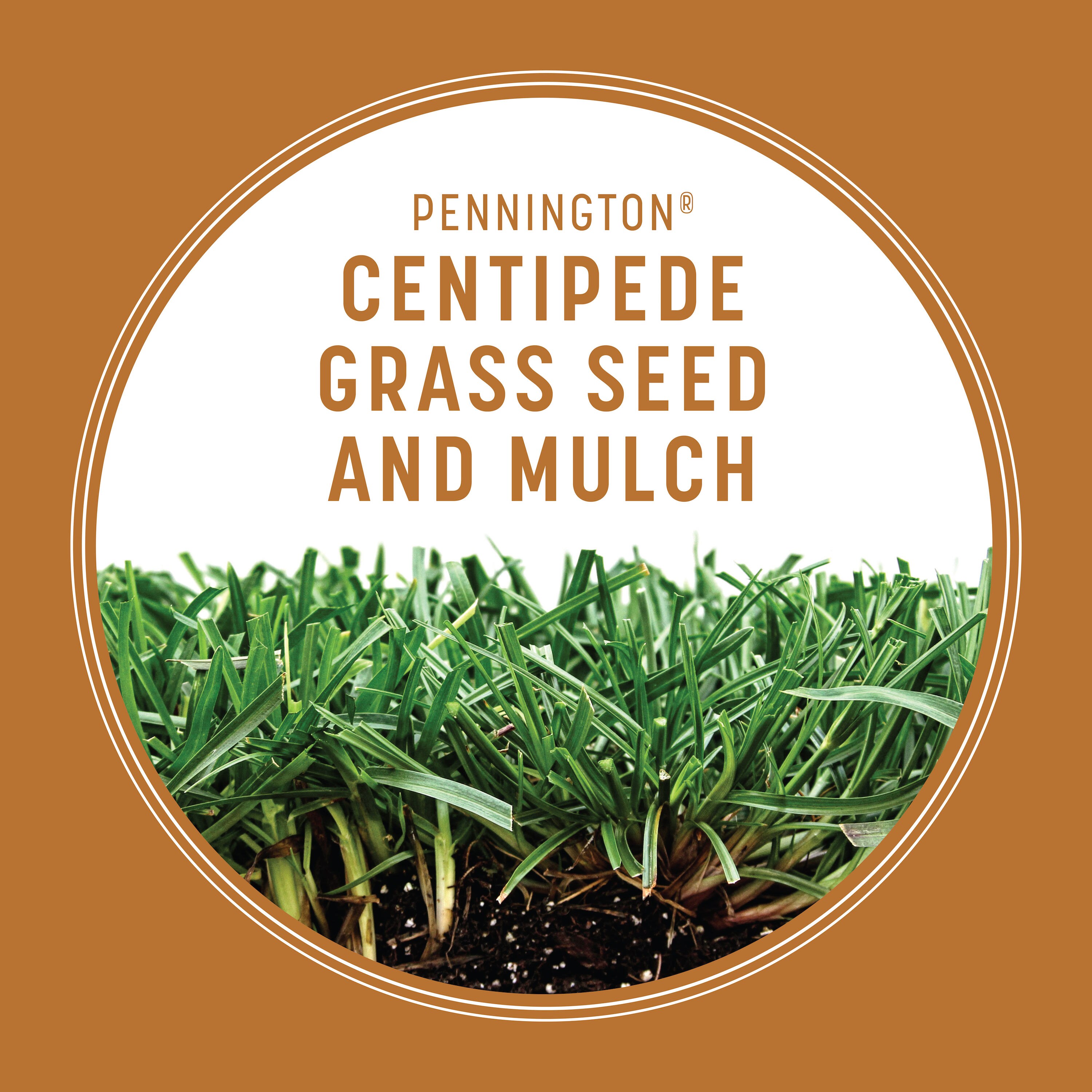 Pennington 2149623655 Grass-Seed - View #4