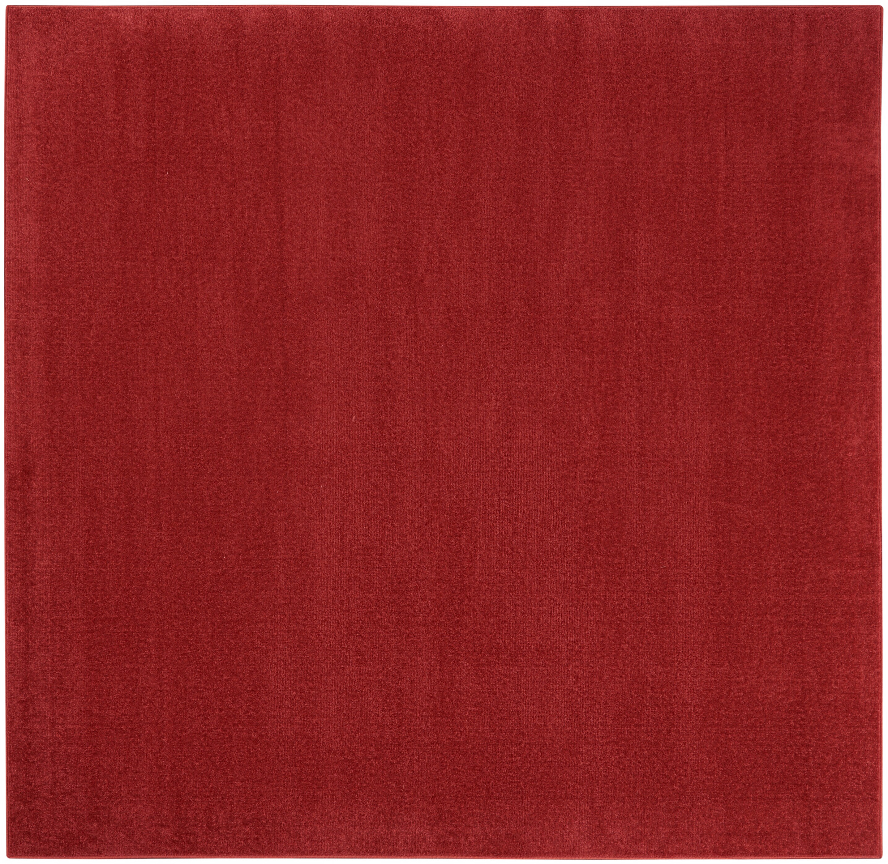 Nourison 099446823502 rugs - View #2