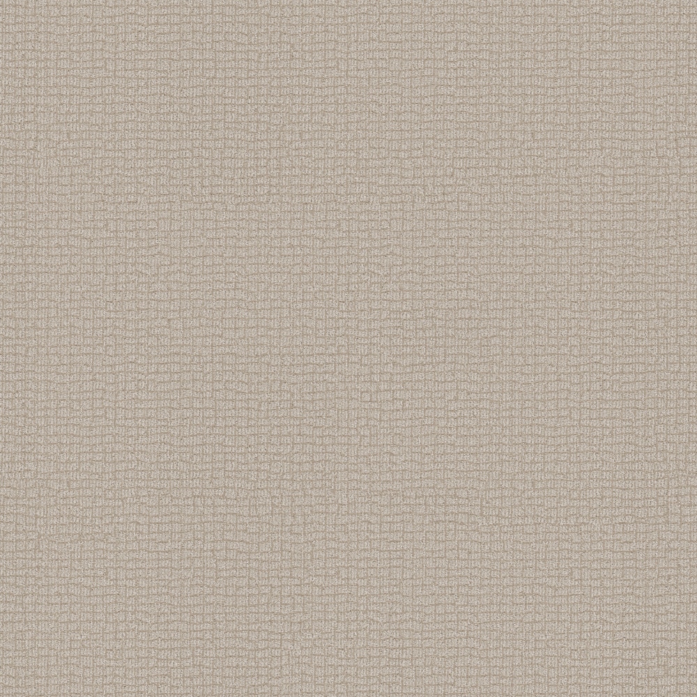 STAINMASTER PetProtect 7L94700114 with LeakDefense Feline Fantasia Subtle Clay Brown 34.1-oz sq yard Solution-dyed polyester Pattern Indoor Carpet