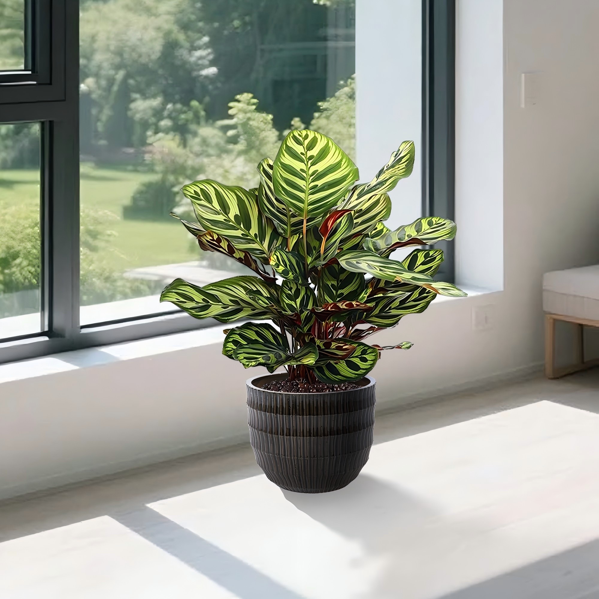 AHIOU HOME ZAAHG-P321575PP Planter-Window-Box - View #3