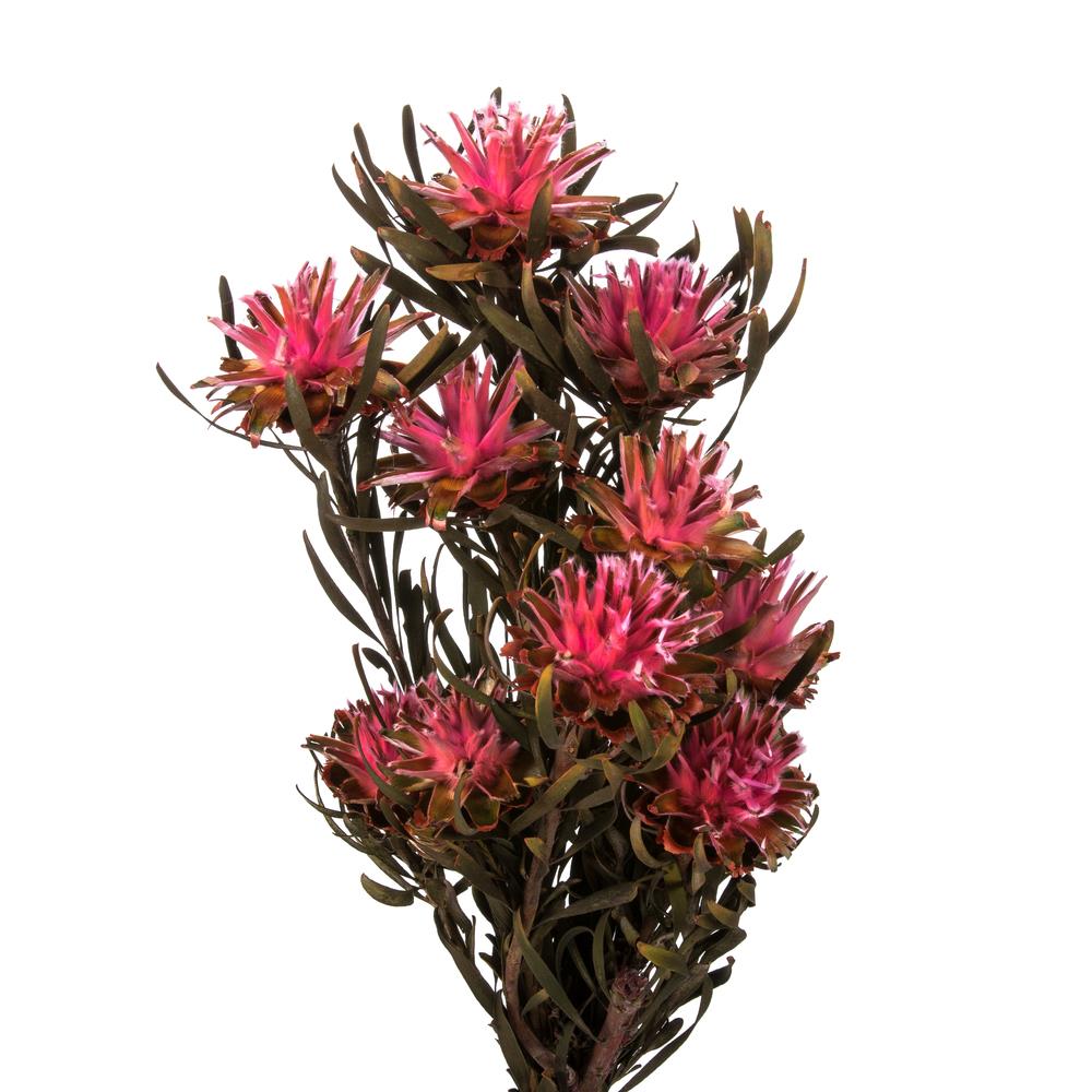 Vickerman H1PMF410-1 Artificial-Plants-Trees - View #2