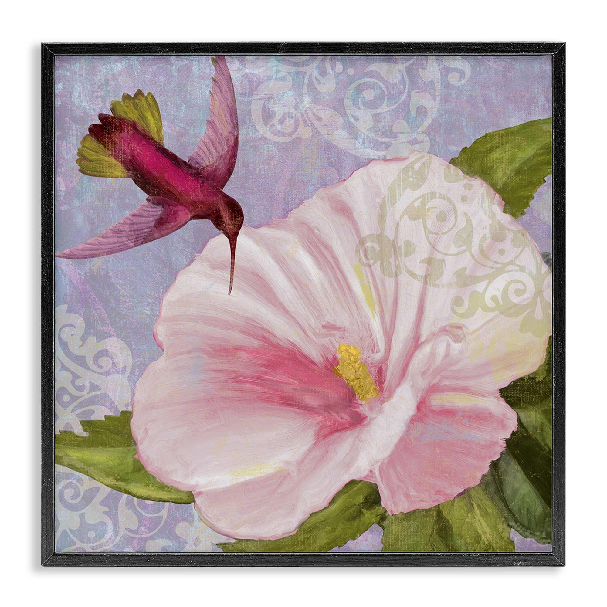 Stupell Industries BS-997-FR-17X17 Hummingbird with White Flower Black Framed Giclee Art By Sasha 17 x 17