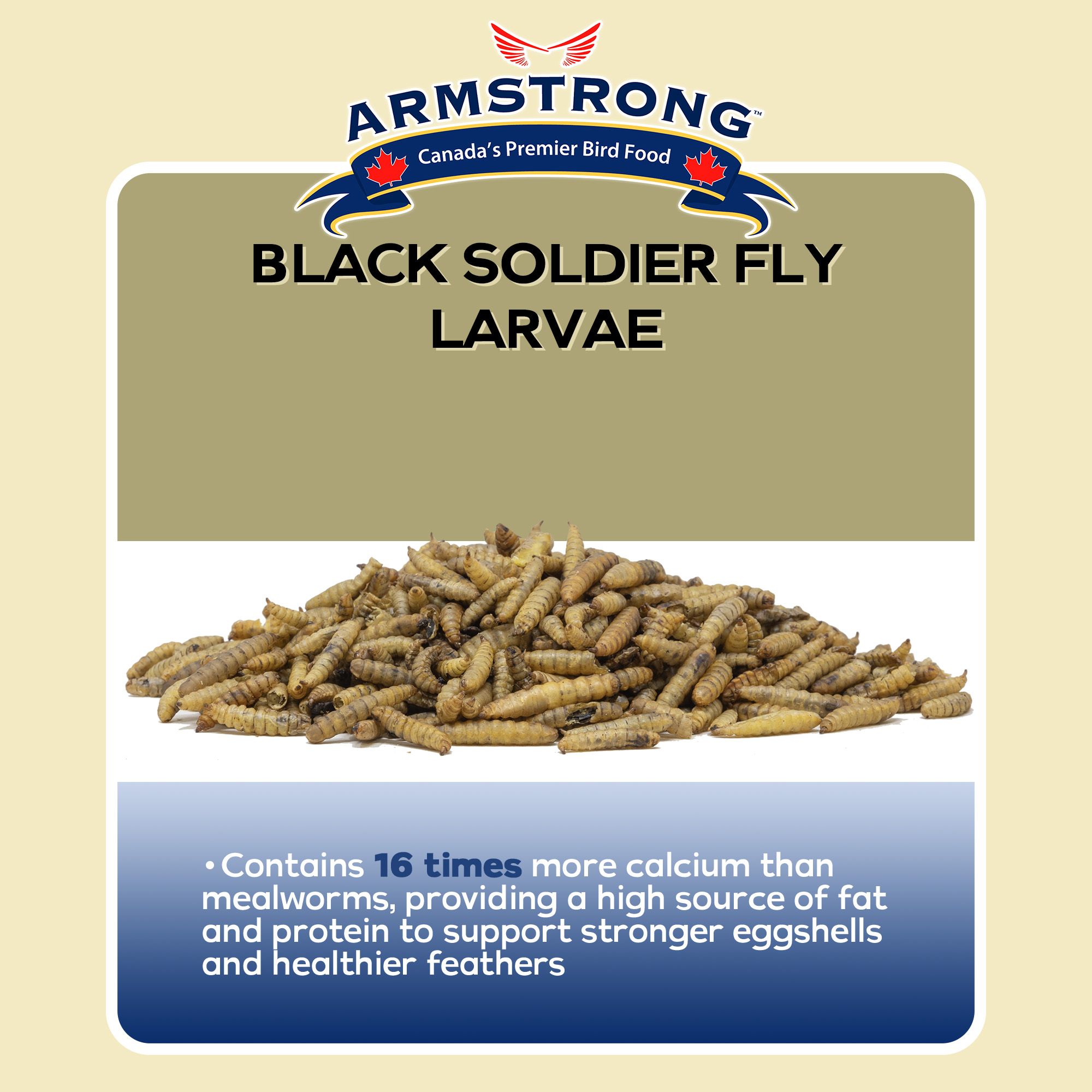 ARMSTRONG 301-105 Bird-Squirrel-Food - View #3
