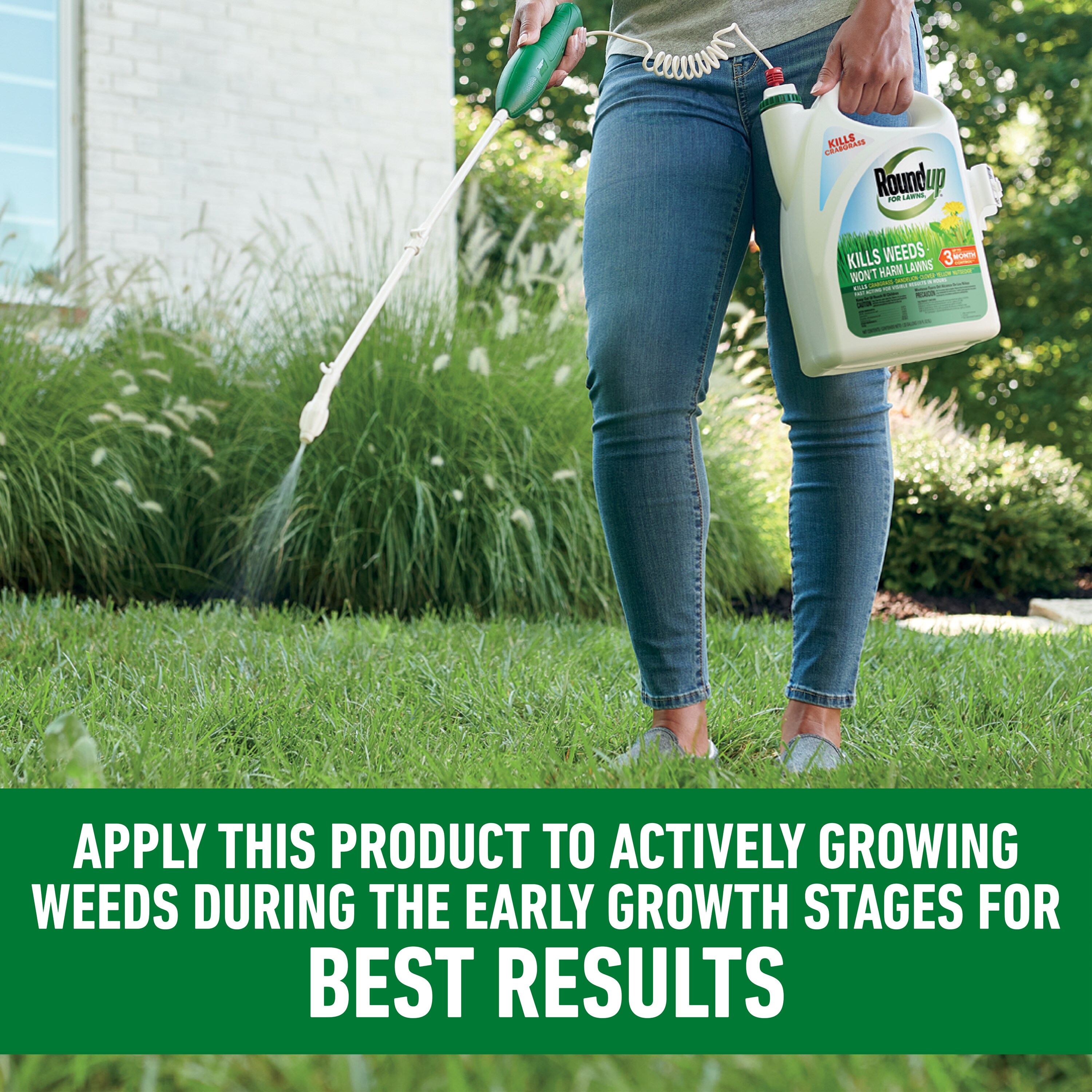 Roundup For Lawns1 1.33Gallon (s) Ready to Use Lawn Weed Killer in the