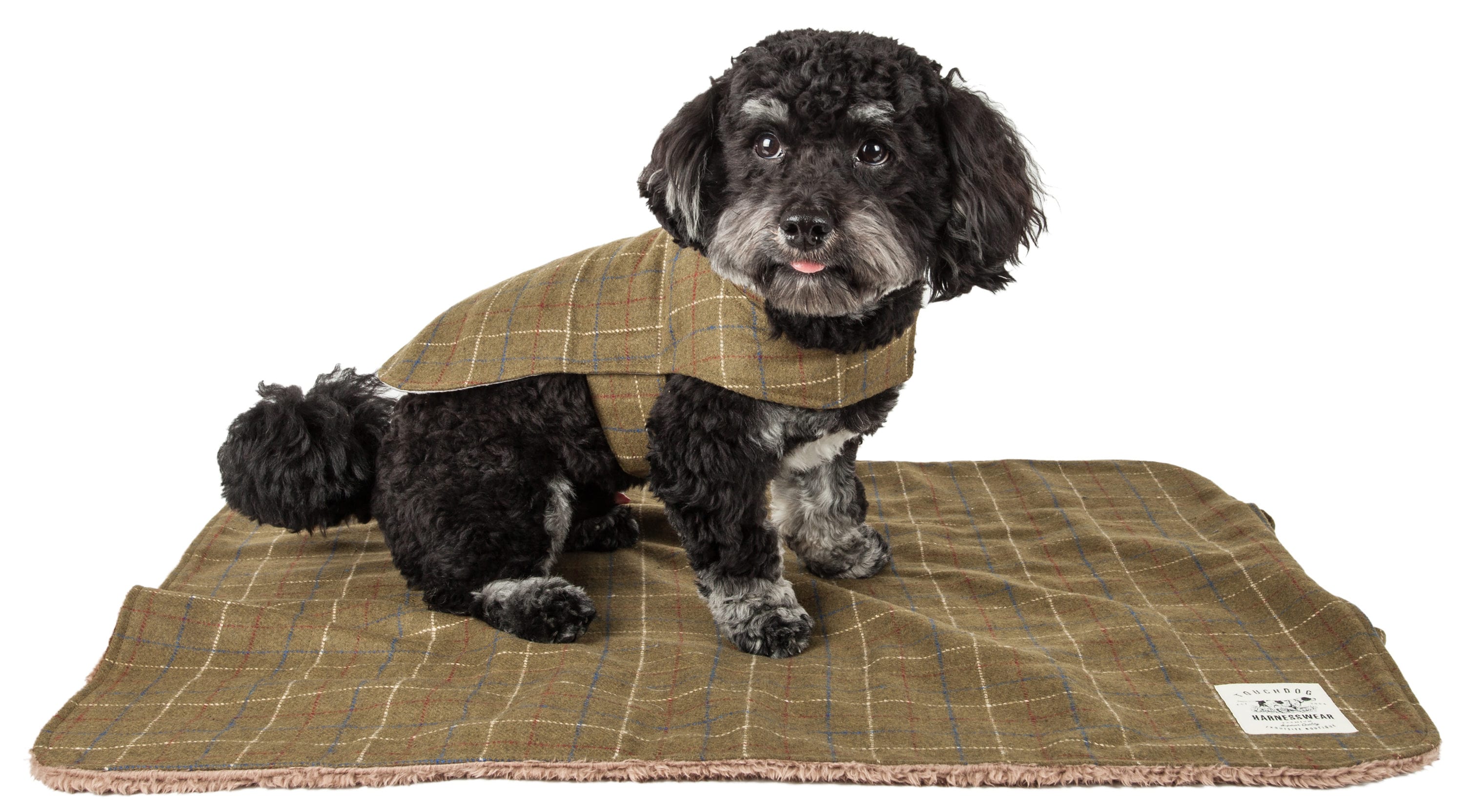 Touchdog JB4GNXL Dog-Apparel - View #2