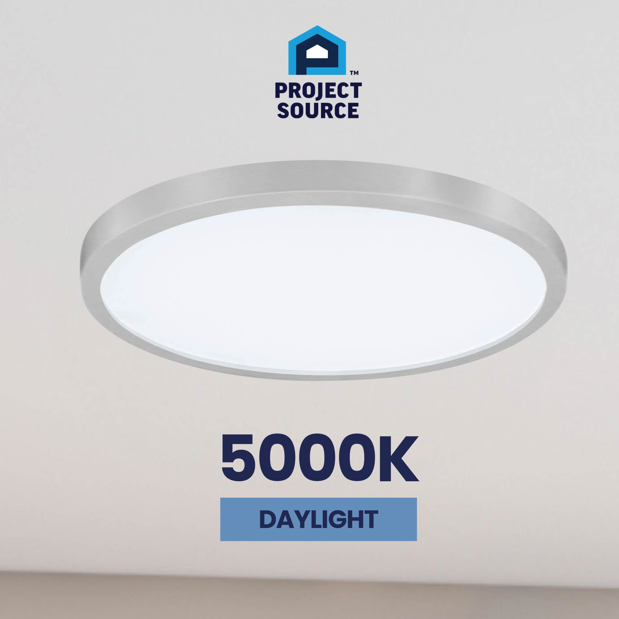 Project Source 43545 flushmounts - View #12