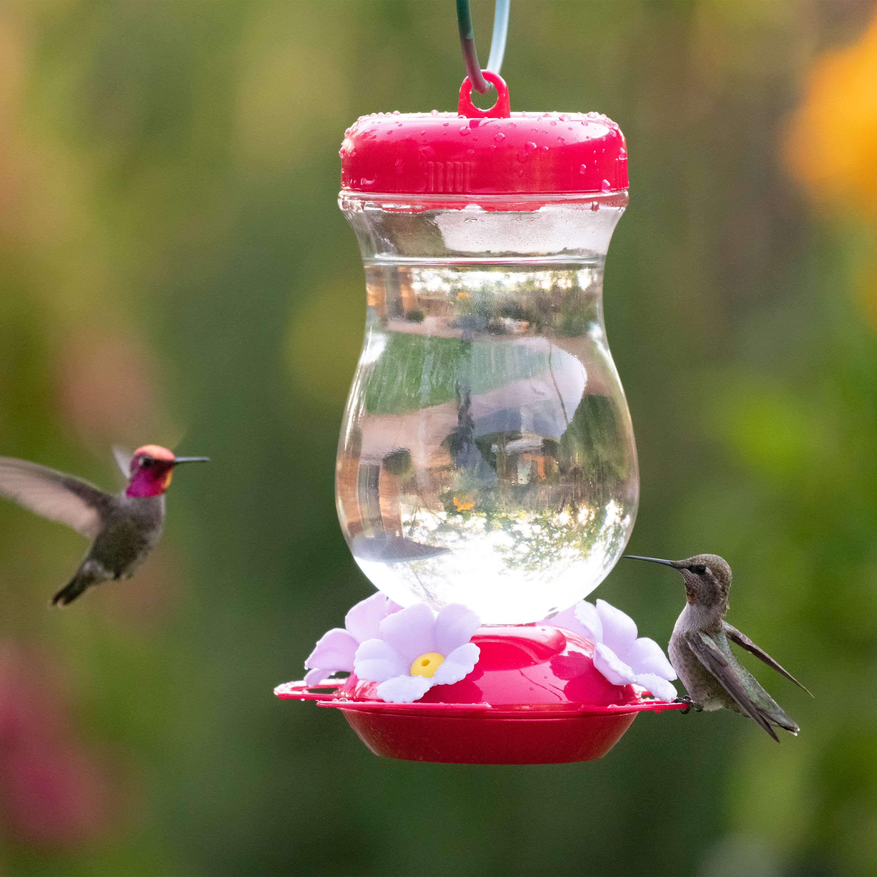 Perky-Pet 132TFP Bird-Feeders - View #9