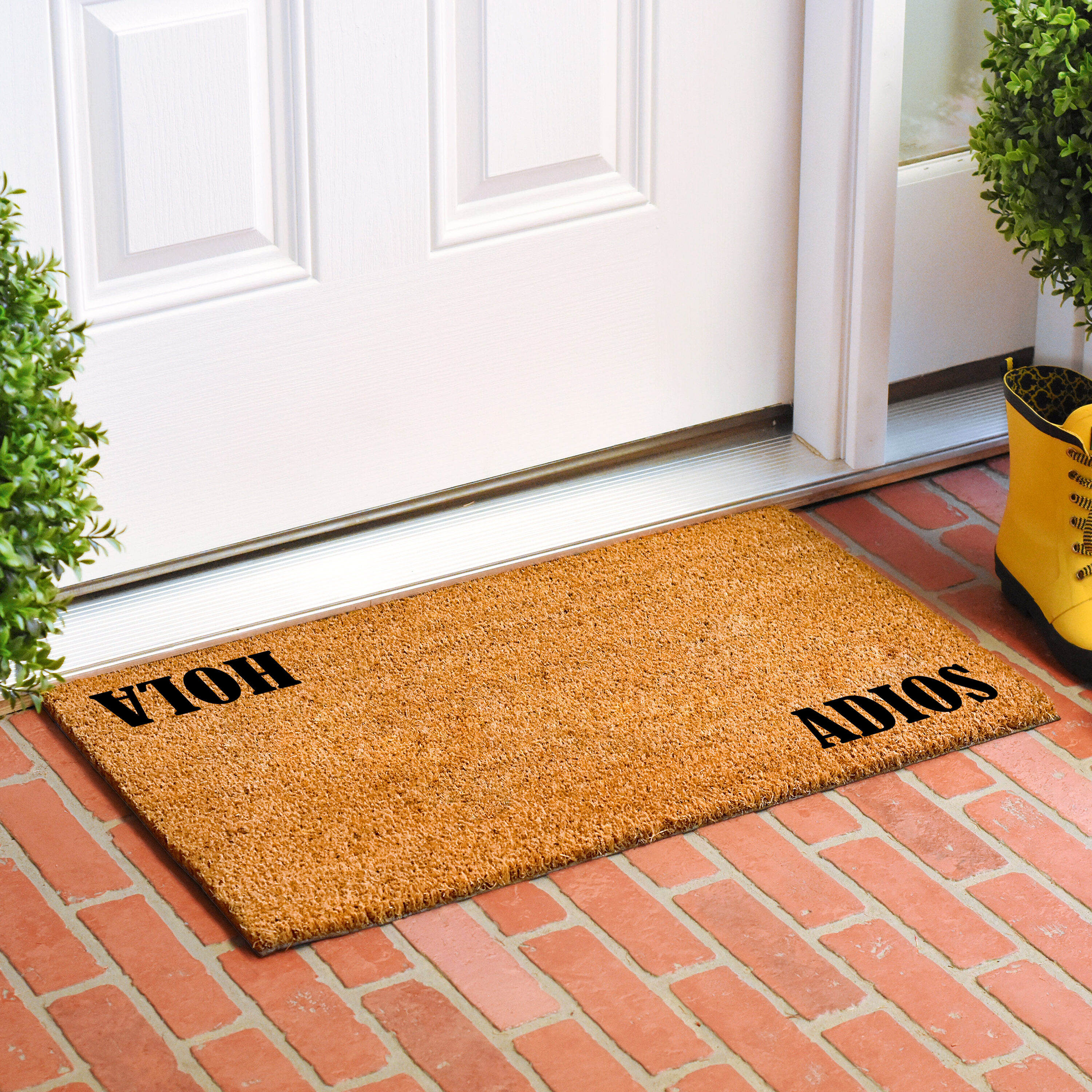 Callowaymills 108683672 Mats-Cat - View #2
