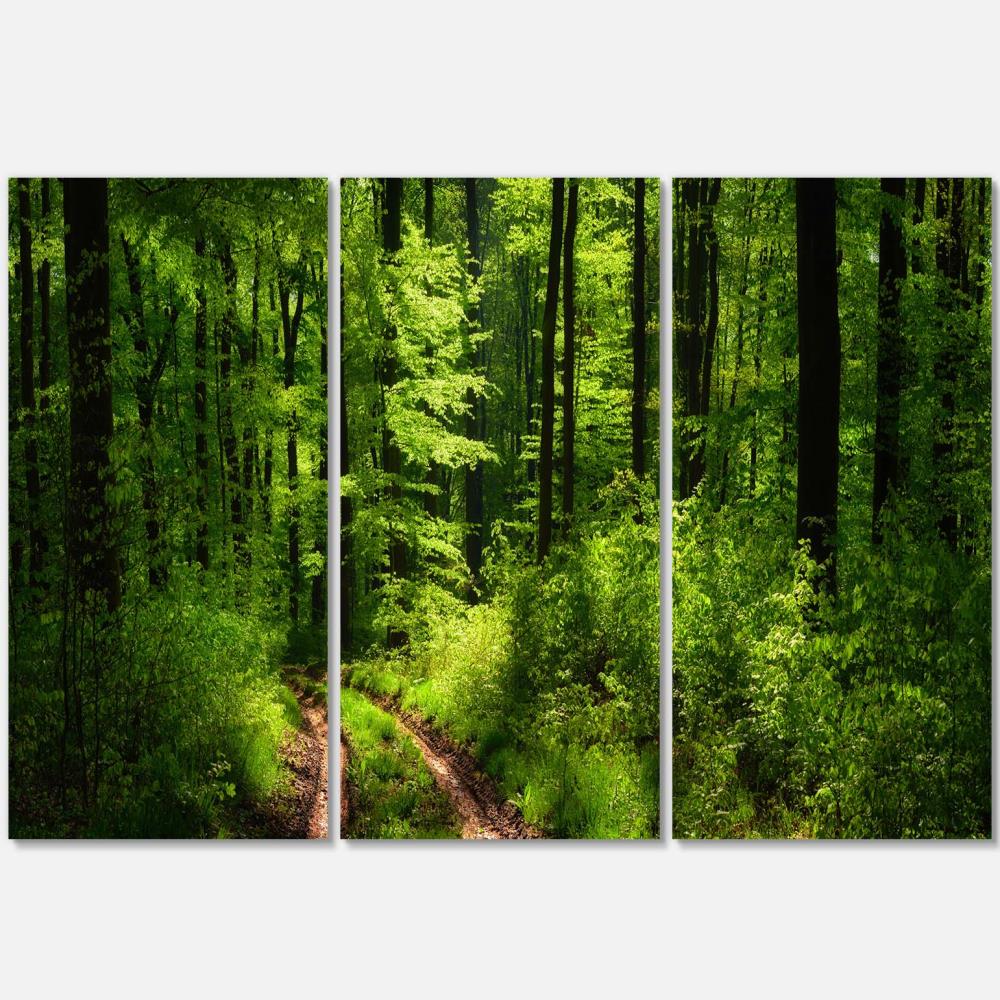 Designart Fascinating Greenery in Wild Forest- Forest Canvas Art Print ...