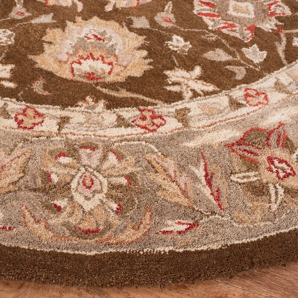 Safavieh AN512F-6R rugs - View #3
