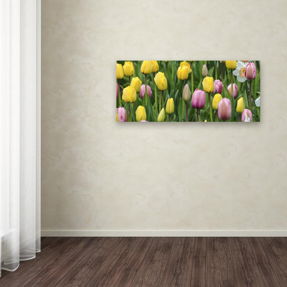 Trademark Fine Art KS01110-C1024GG Wall-Art - View #3