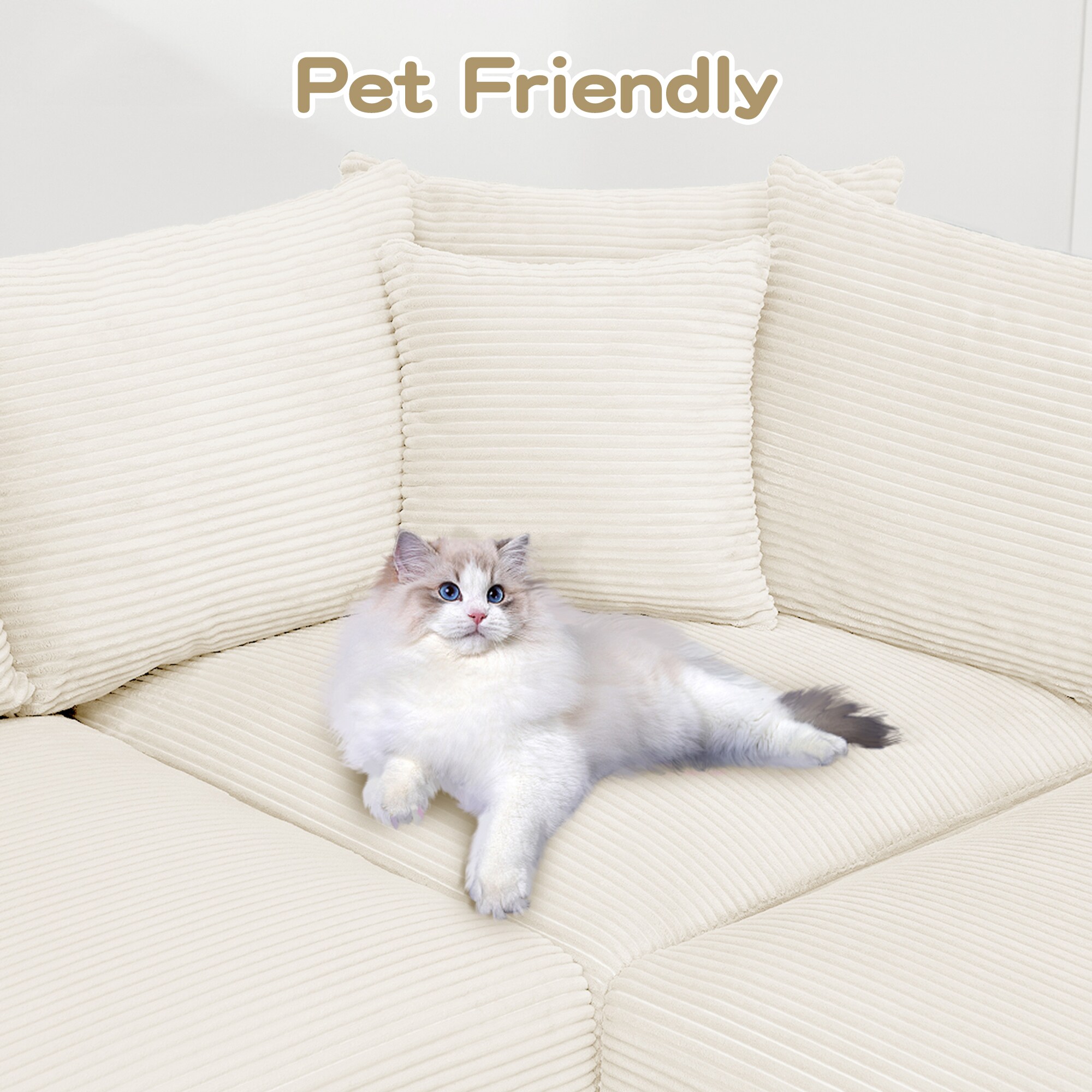 SINOFURN SYA020273BG Sofas-Loveseats - View #10