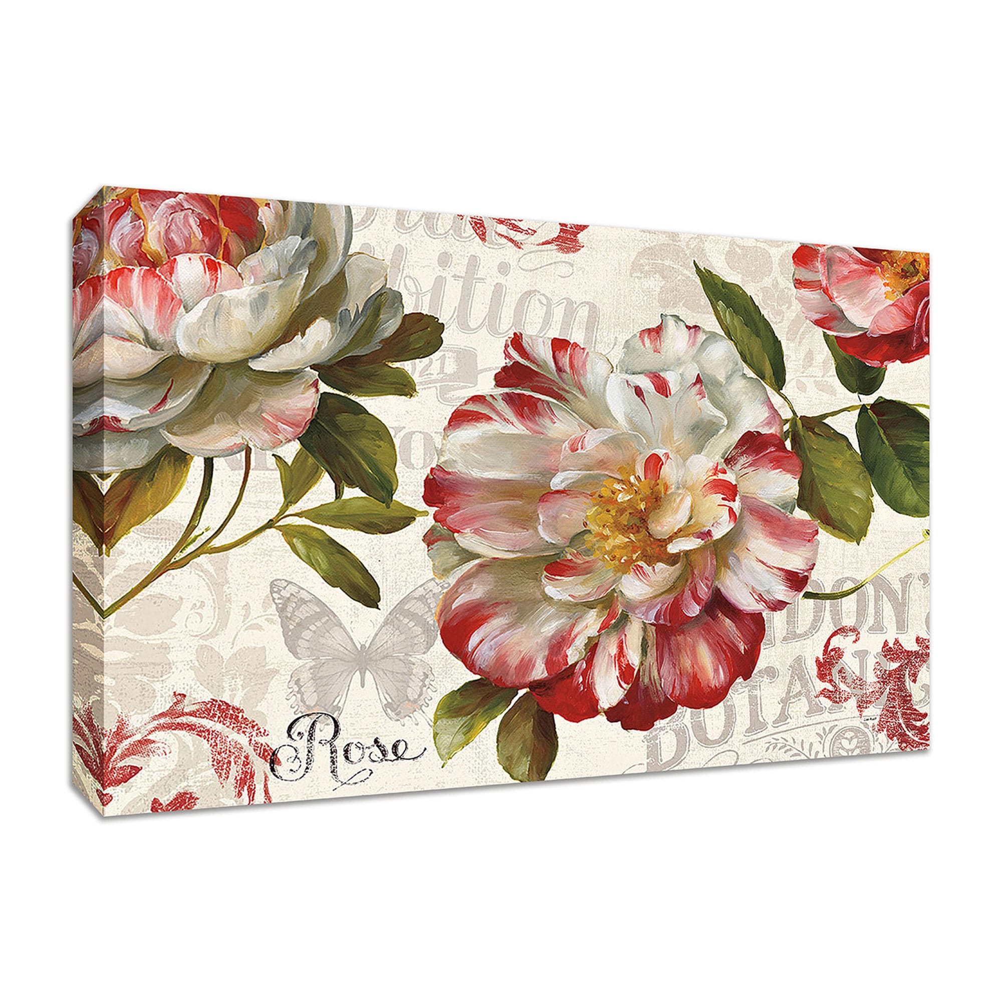 Tangletown Fine Art 14300-5738C 38-in H x 57-in W Floral Print on Canvas