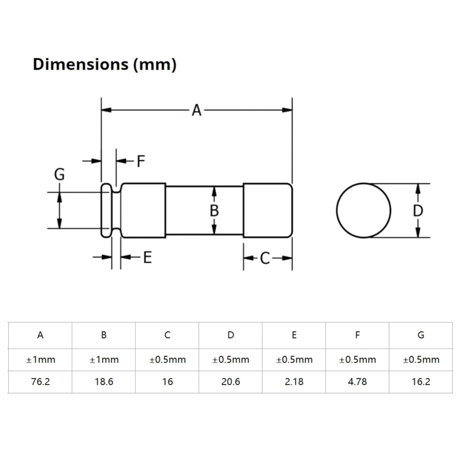 HIITIO 60A-2PCS fuses - View #7