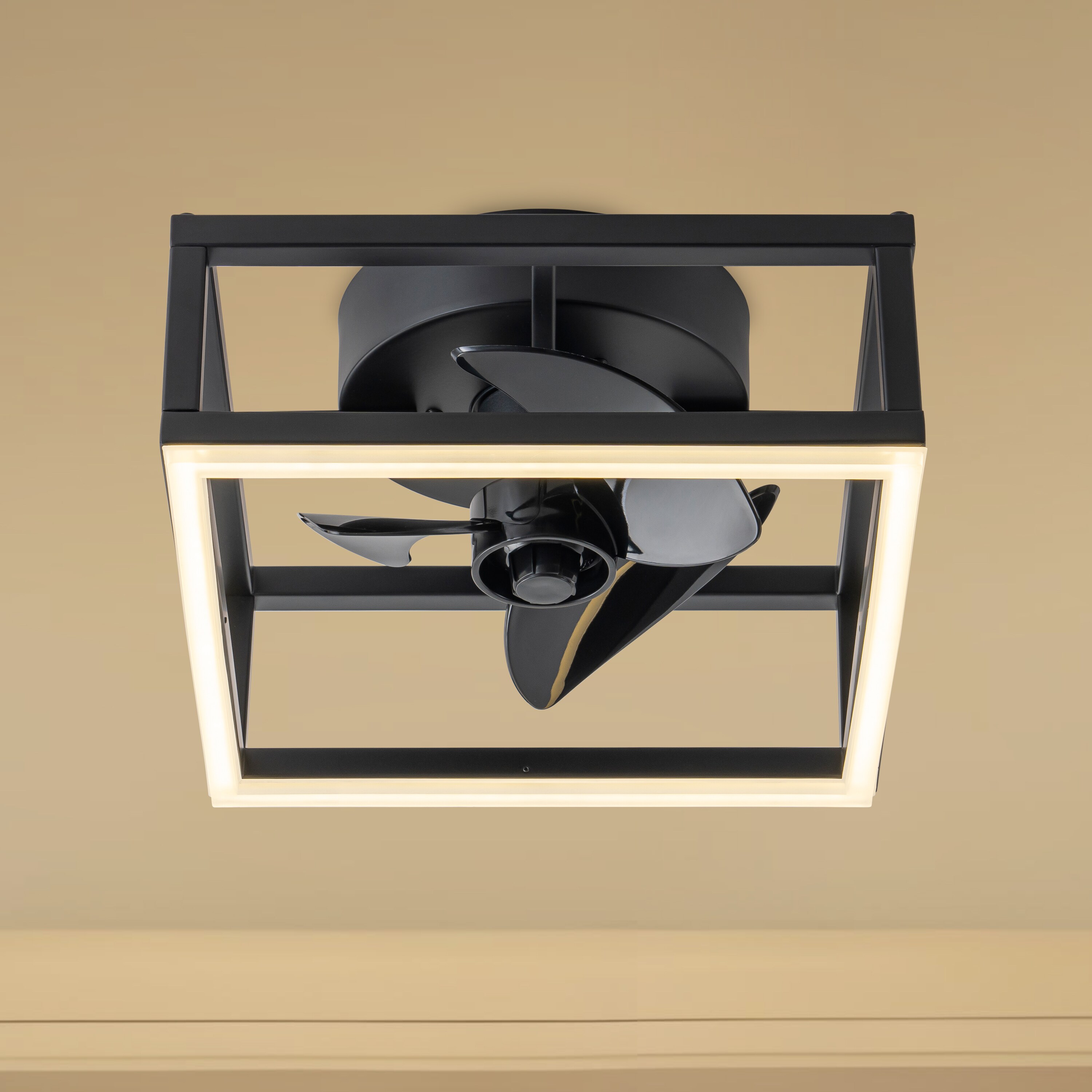 C Cattleya LCA2499-JES-CF Ceiling-Fans - View #9