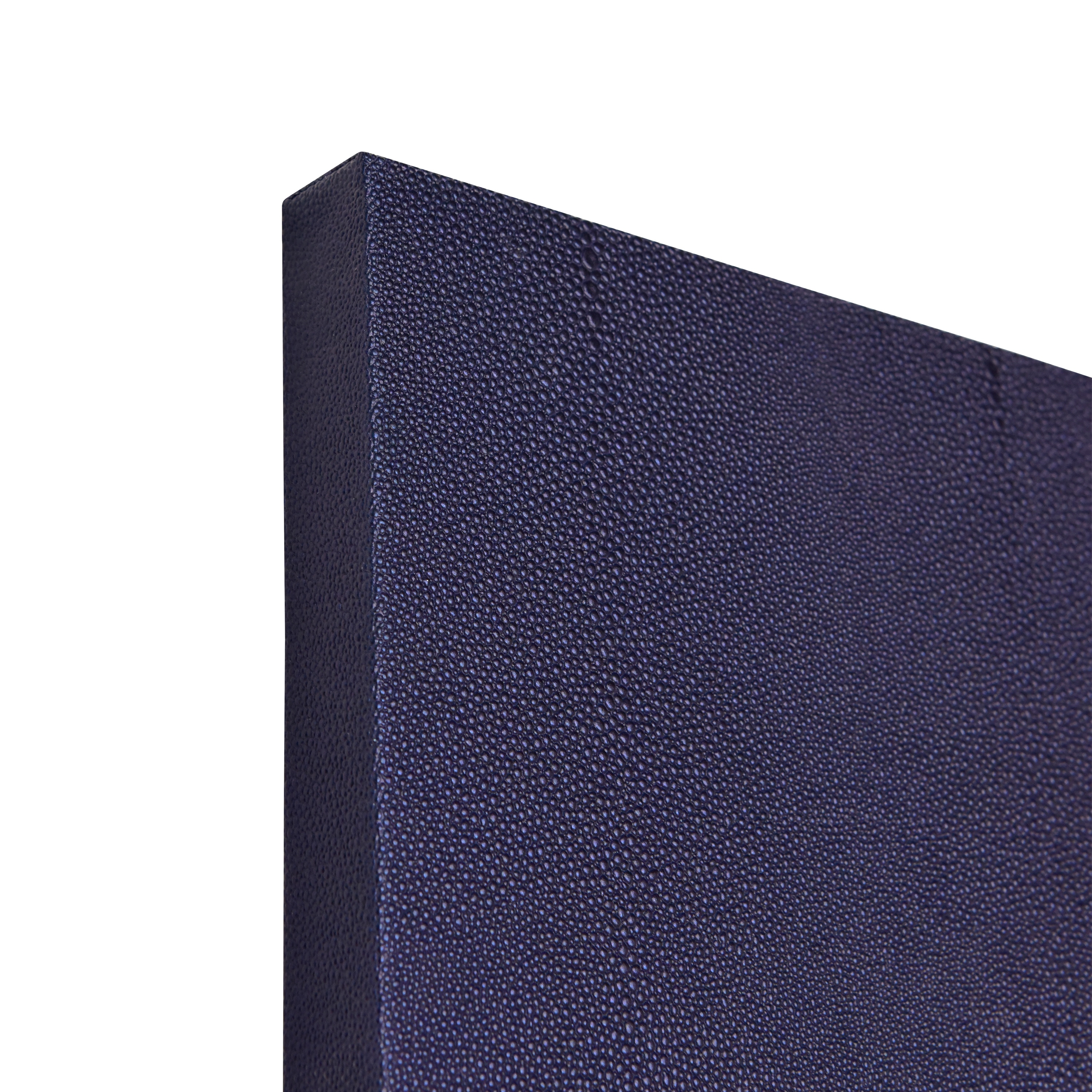 Ethereal Skull Silver Shagreen Wrapped Canvas Wall Art