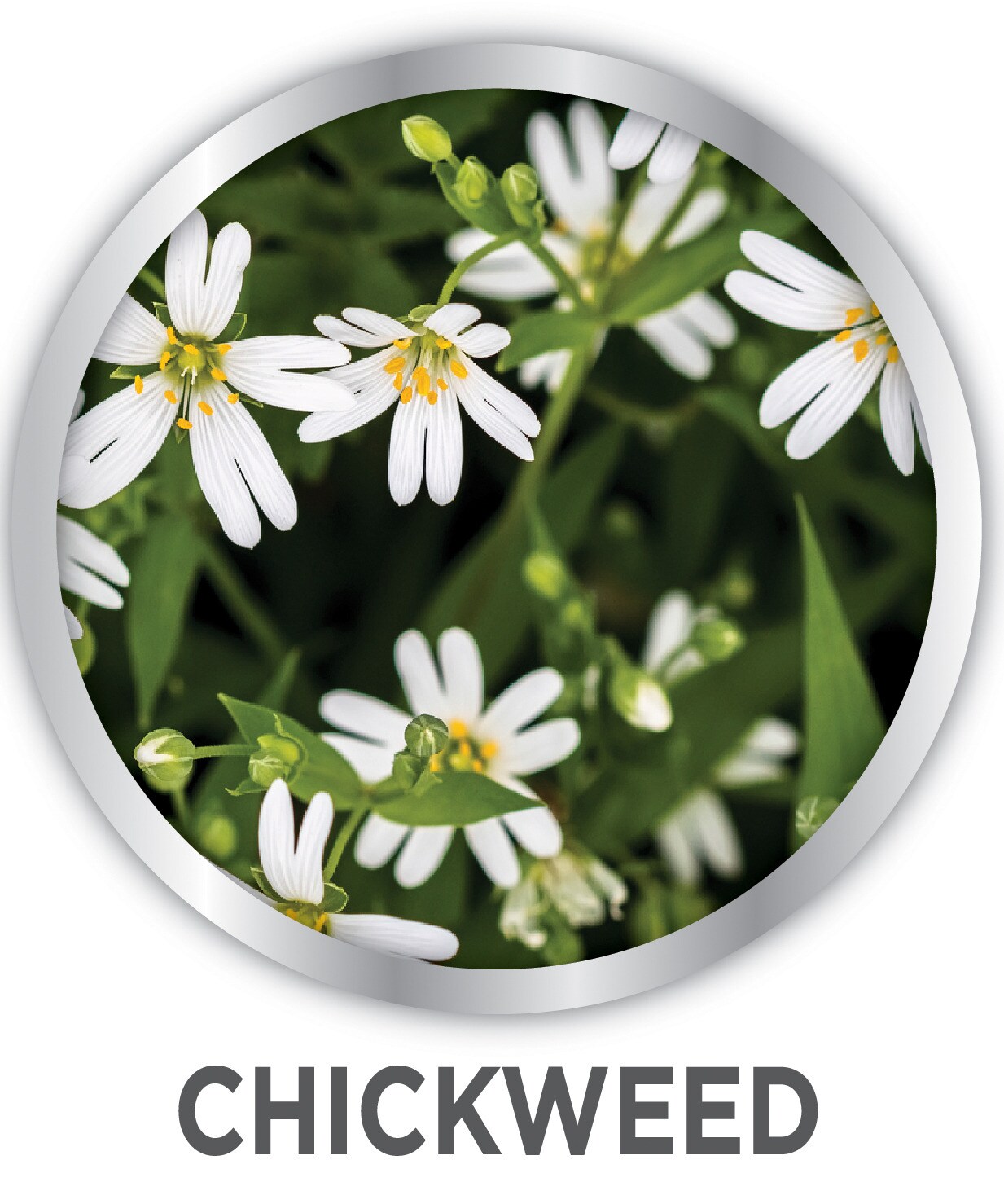 IMAGE 7062461009 Weed-Preventers - View #11