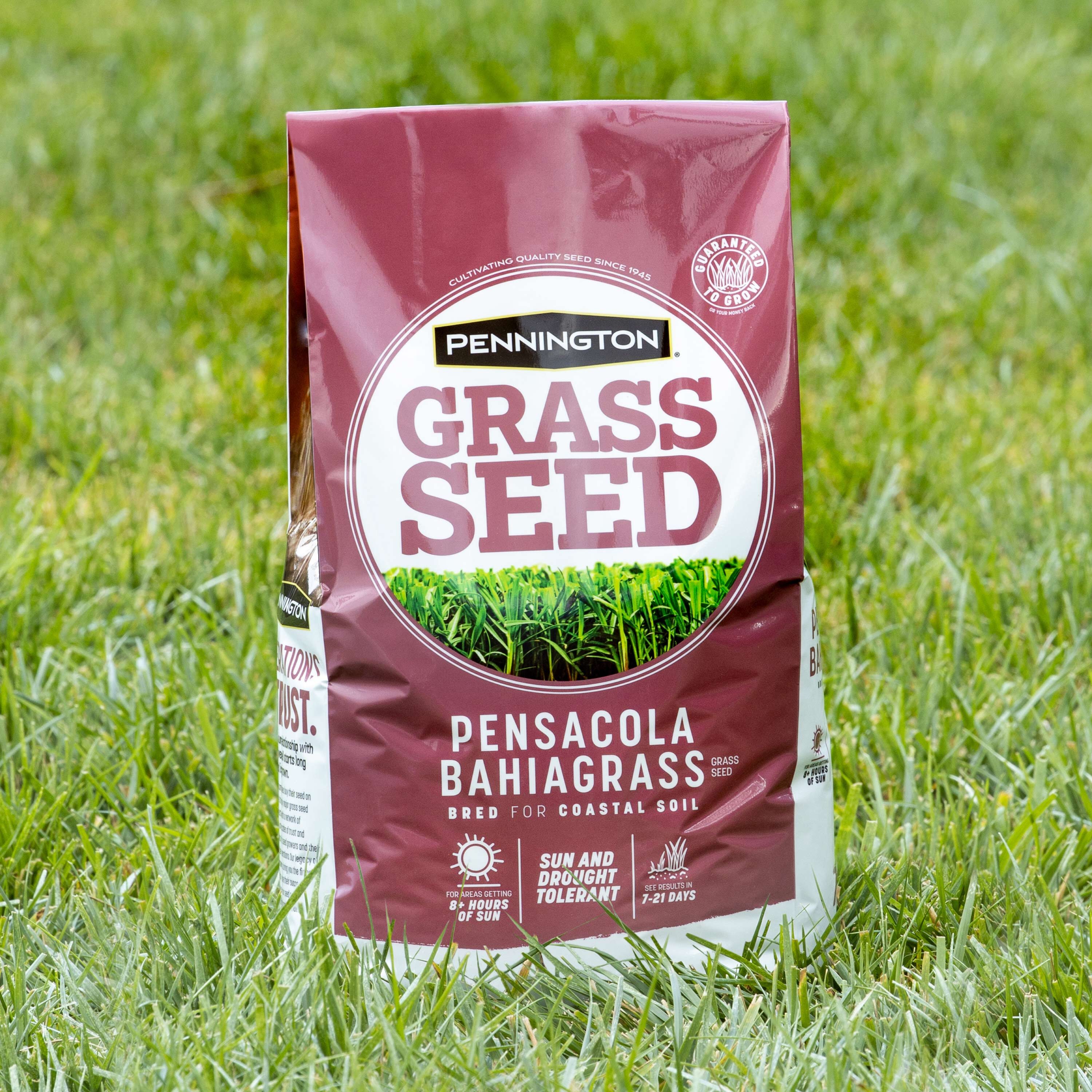 Lowes deals grass seed