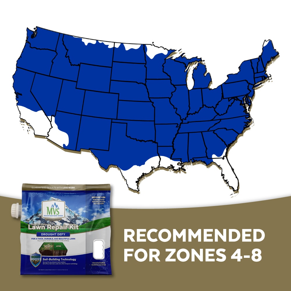 Mountain View Seeds 113730 Lawn-Repair-Mix - View #5