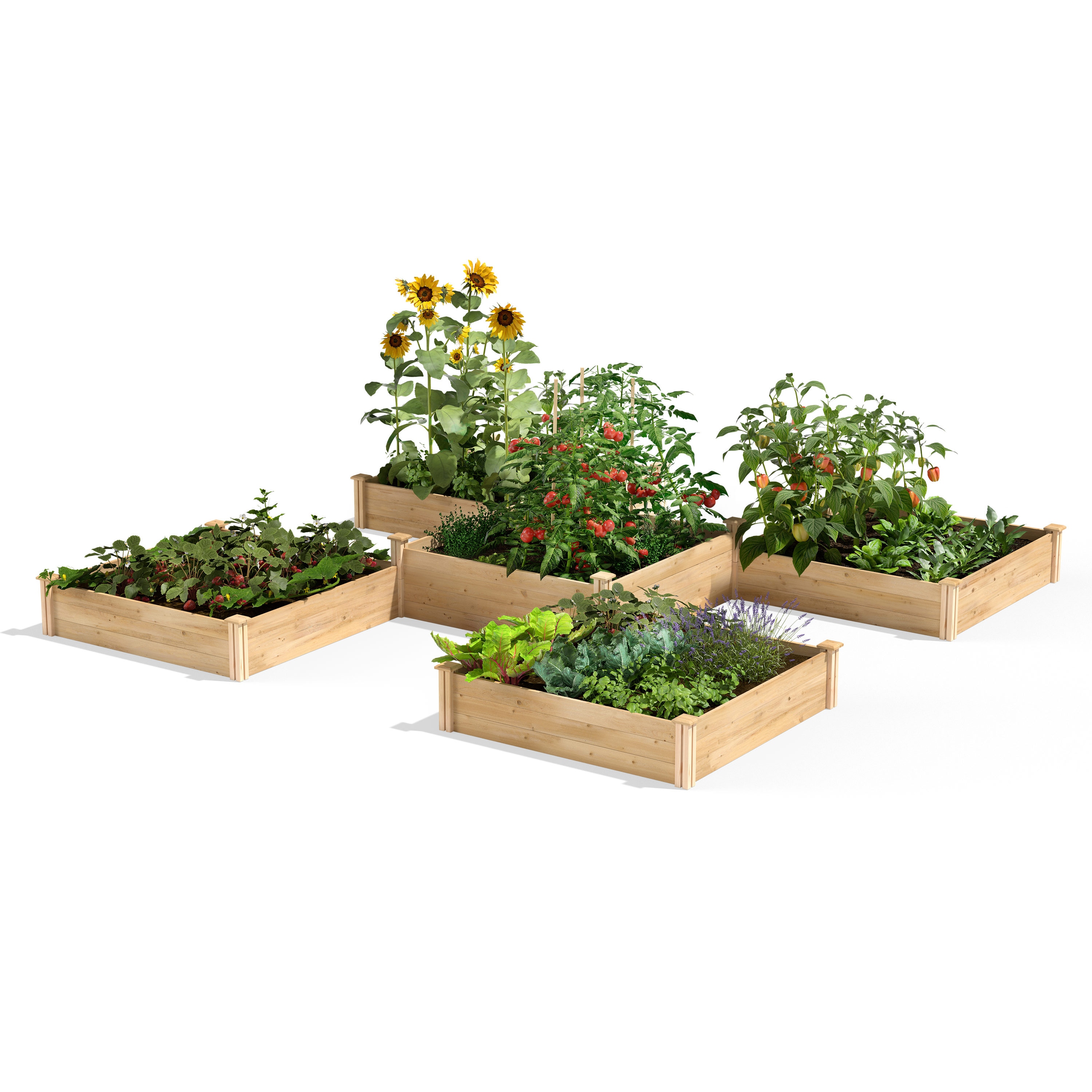 Greenes Fence RC12T8S64B 74.7-cu ft 144-in W x 144-in L x 14-in H Natural Cedar Cedar Raised Garden Bed