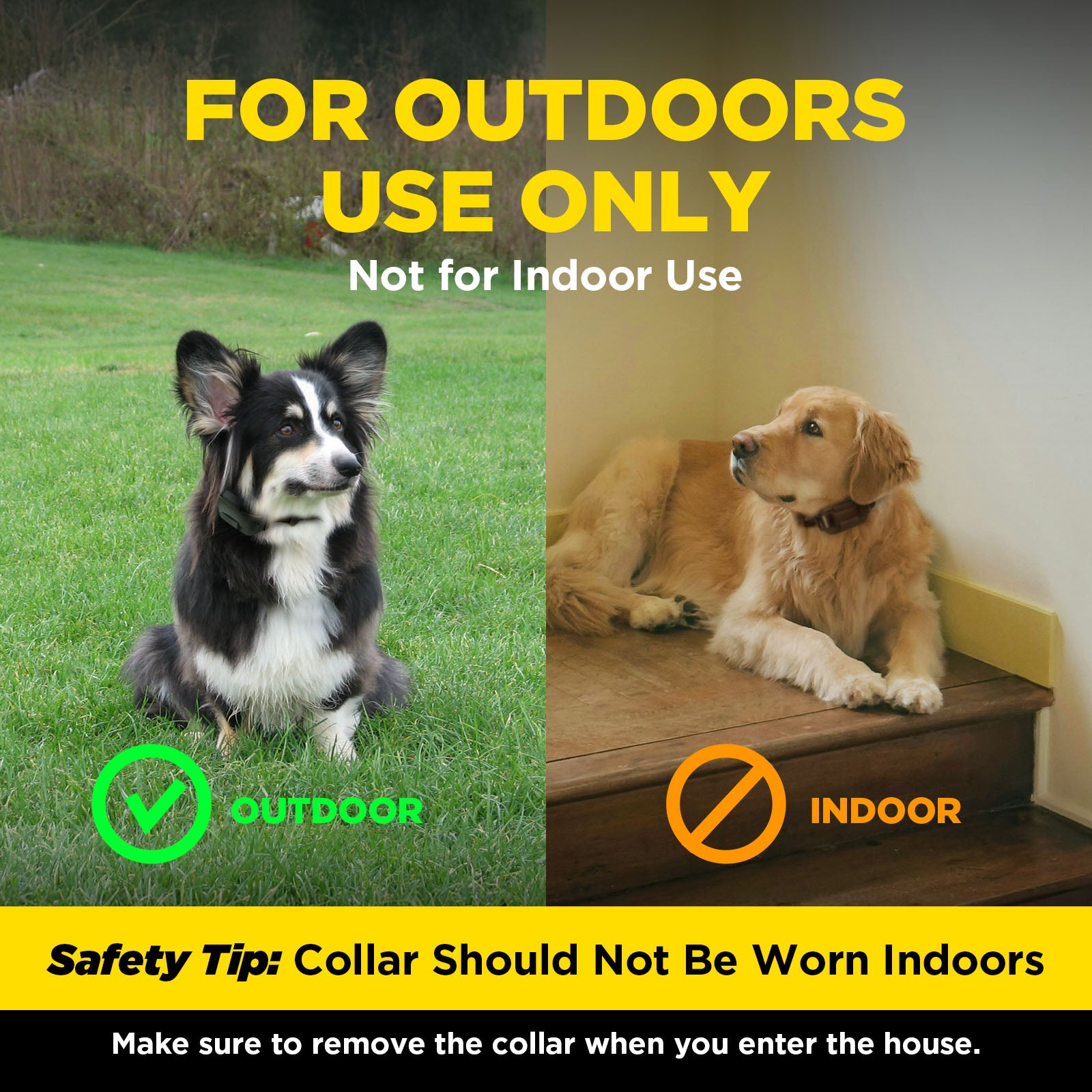 Dogtra 644622060082 Wireless-Pet-Fence - View #14