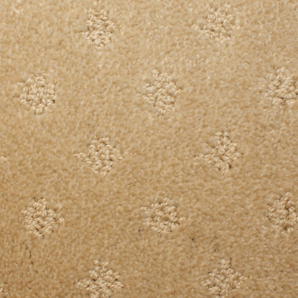 STAINMASTER S7532-203-1200-AB PetProtect Spring Hope Calla Pattern Indoor Carpet