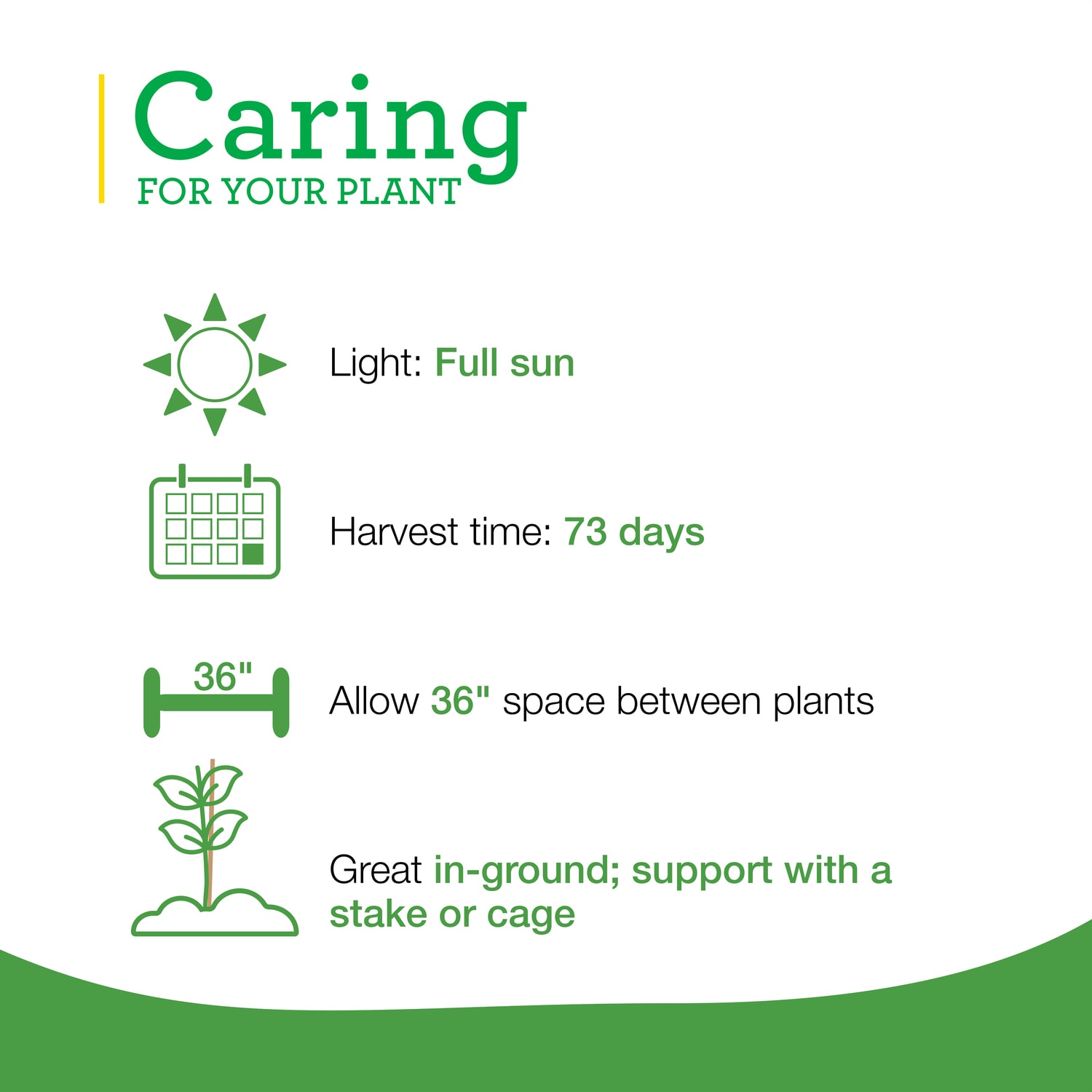 Bonnie Plants 202049 Vegetable-Plants - View #5